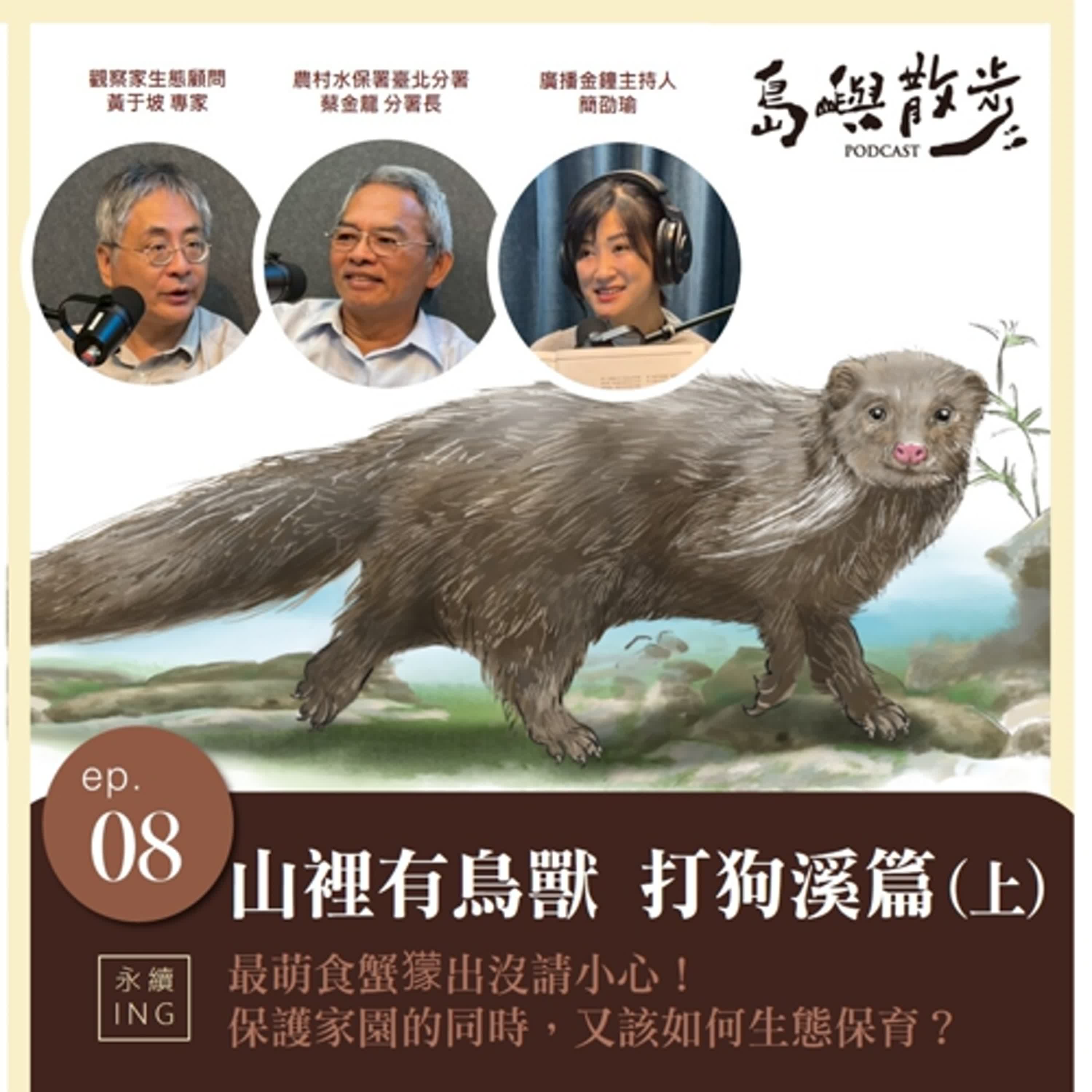 EP.8 山裡有鳥獸 打狗溪篇（上）最萌食蟹獴出沒請小心！保護家園的同時，又該如何生態保育？