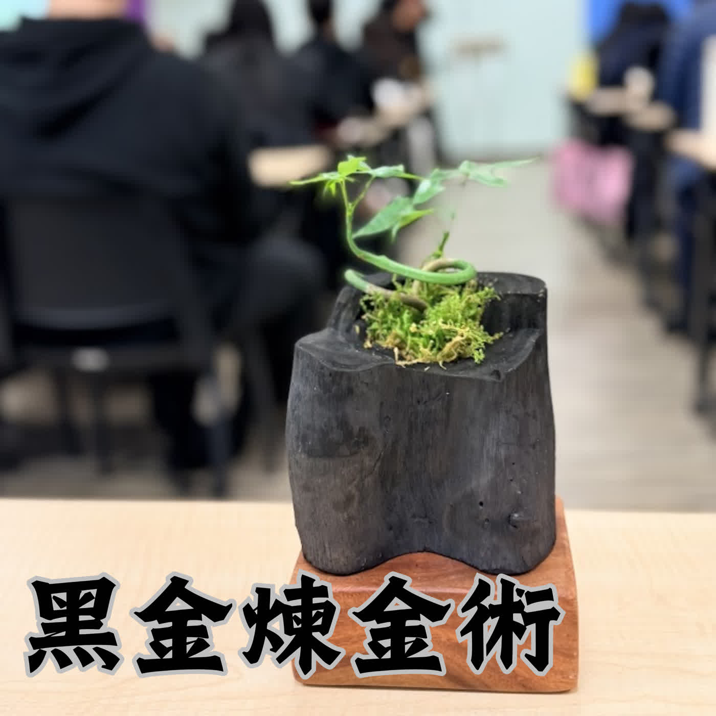 黑金煉金術：從木炭到 ESG：傳統產業的循環經濟與 AI 轉型