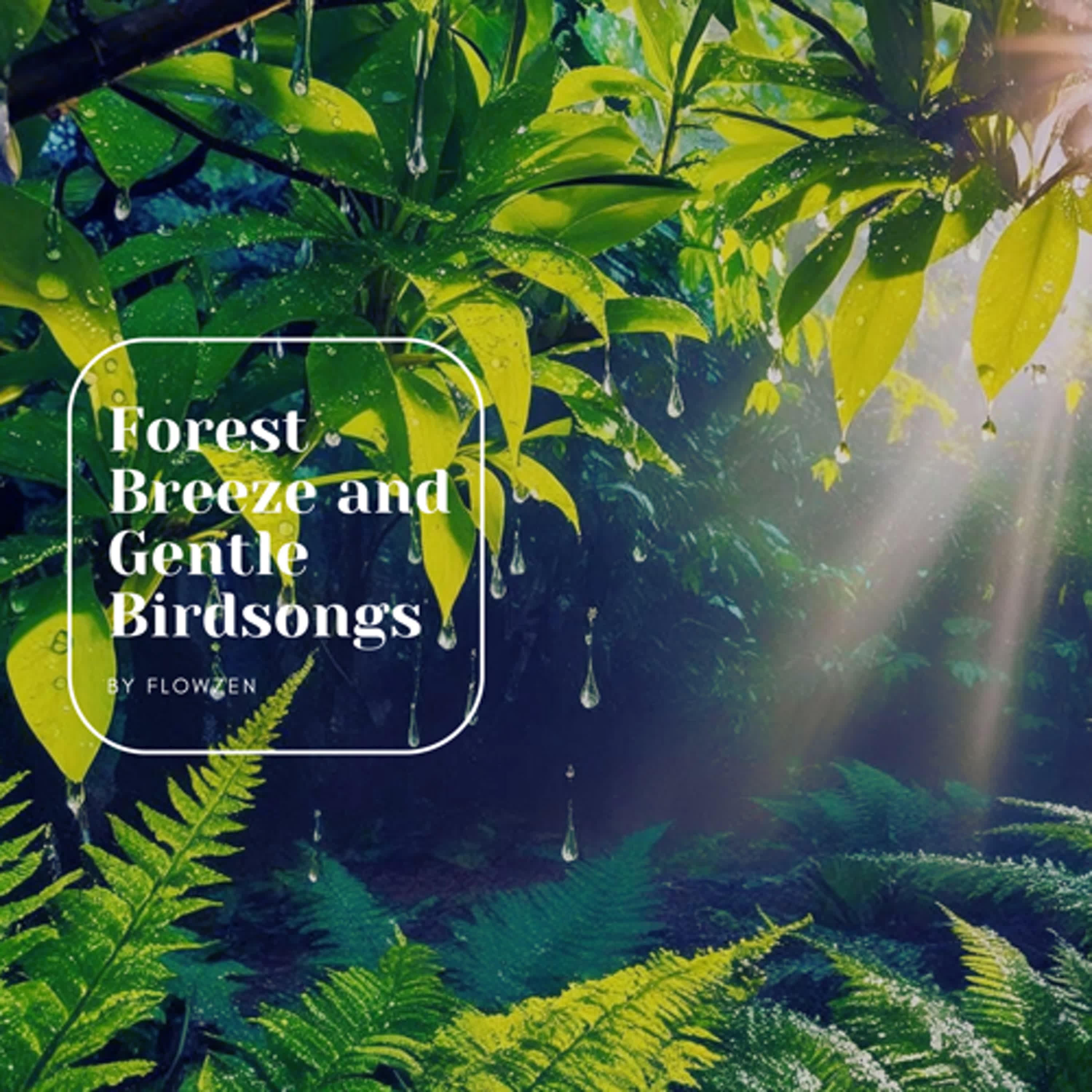 Forest Breeze and Gentle Birdsongs for Deep Focus & Sleep | 森林鳥鳴微風:靜心助眠與專注的療癒音樂