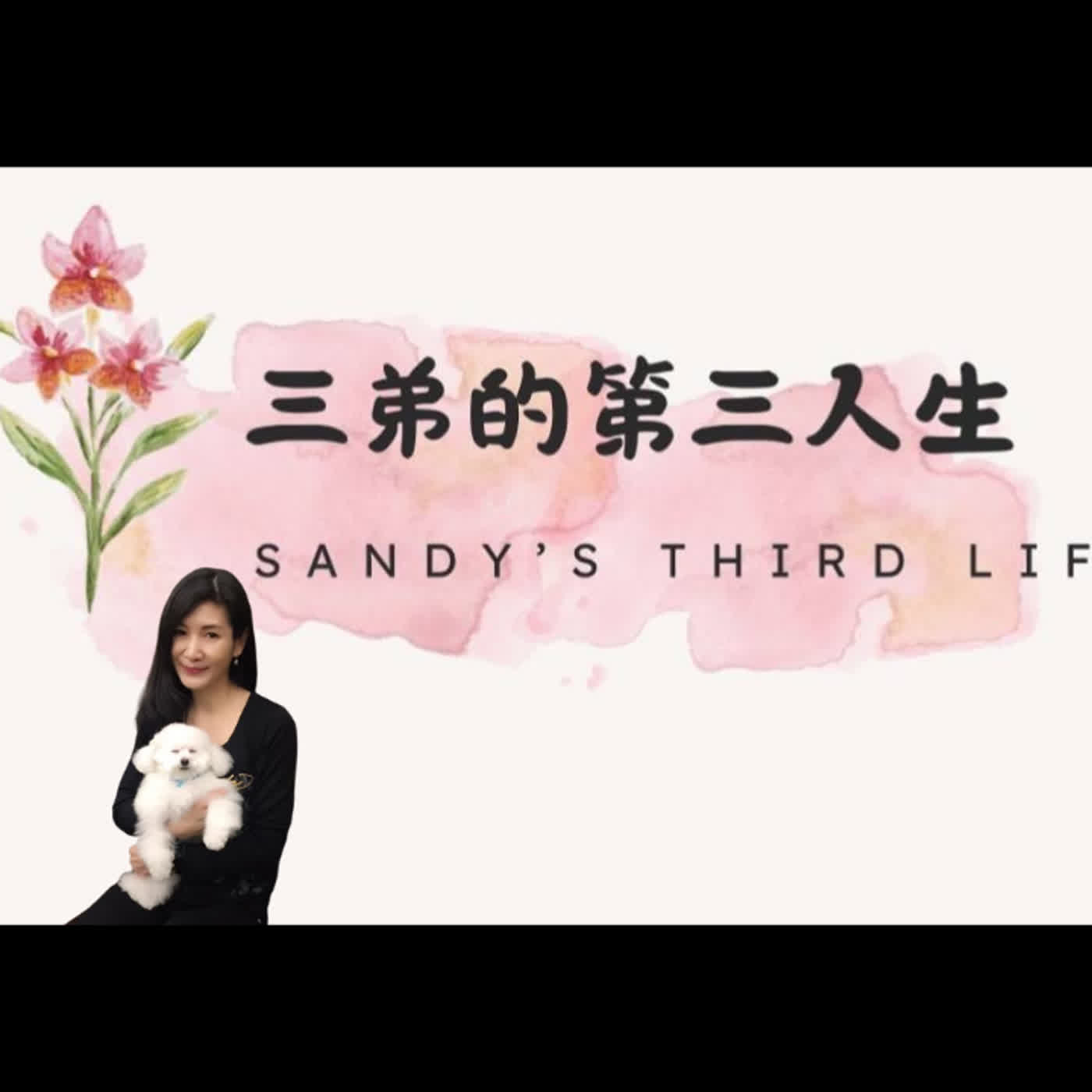 🎧《三弟的第三人生》EP40 比賽是進步的最快方式：2/8 英文演講賽後告白，與那句藏了 30 年的 Goodbye episode artwork
