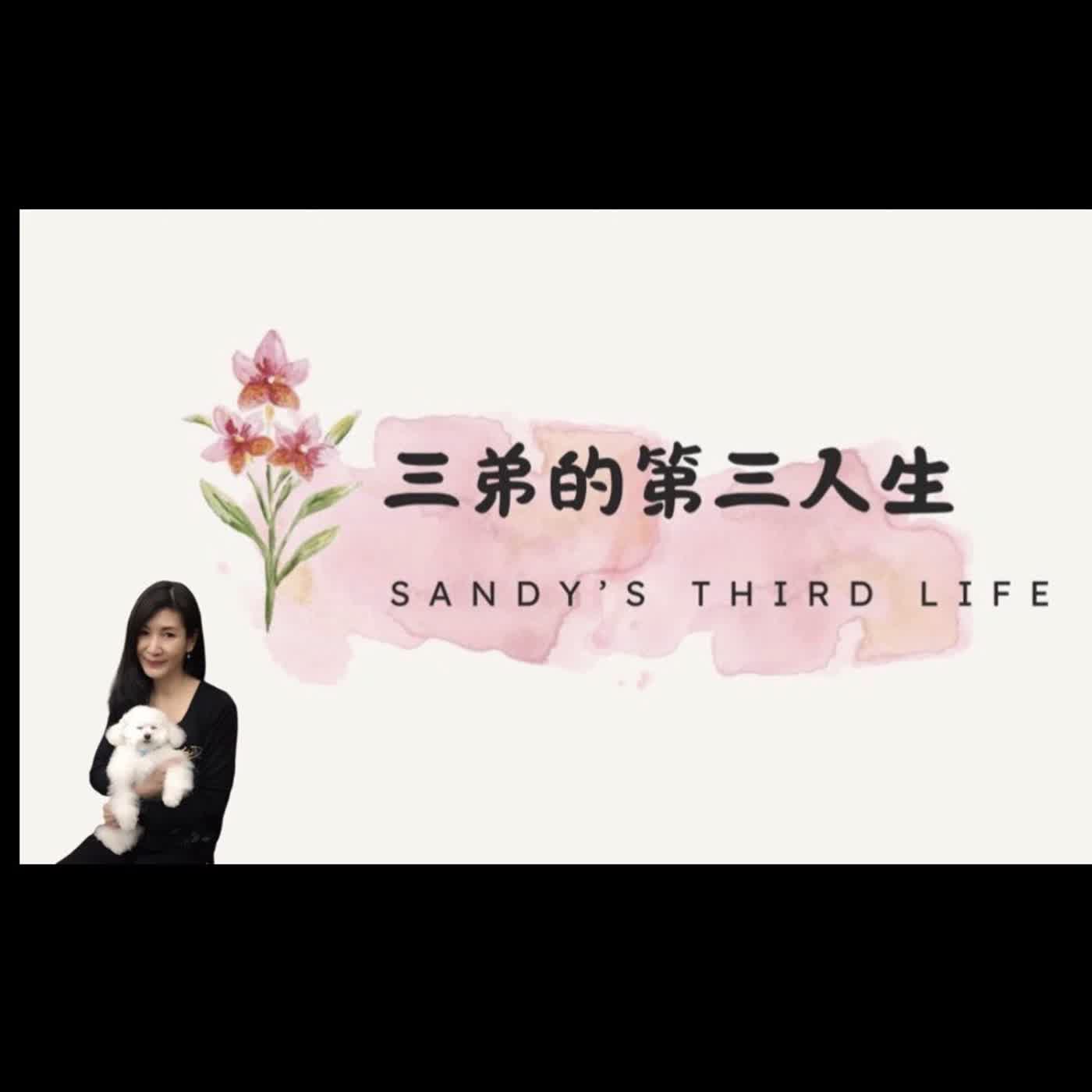 🎧《三弟的第三人生》EP35 《停止內耗④：當我又開始內耗時，我可以怎麼做？》 episode artwork