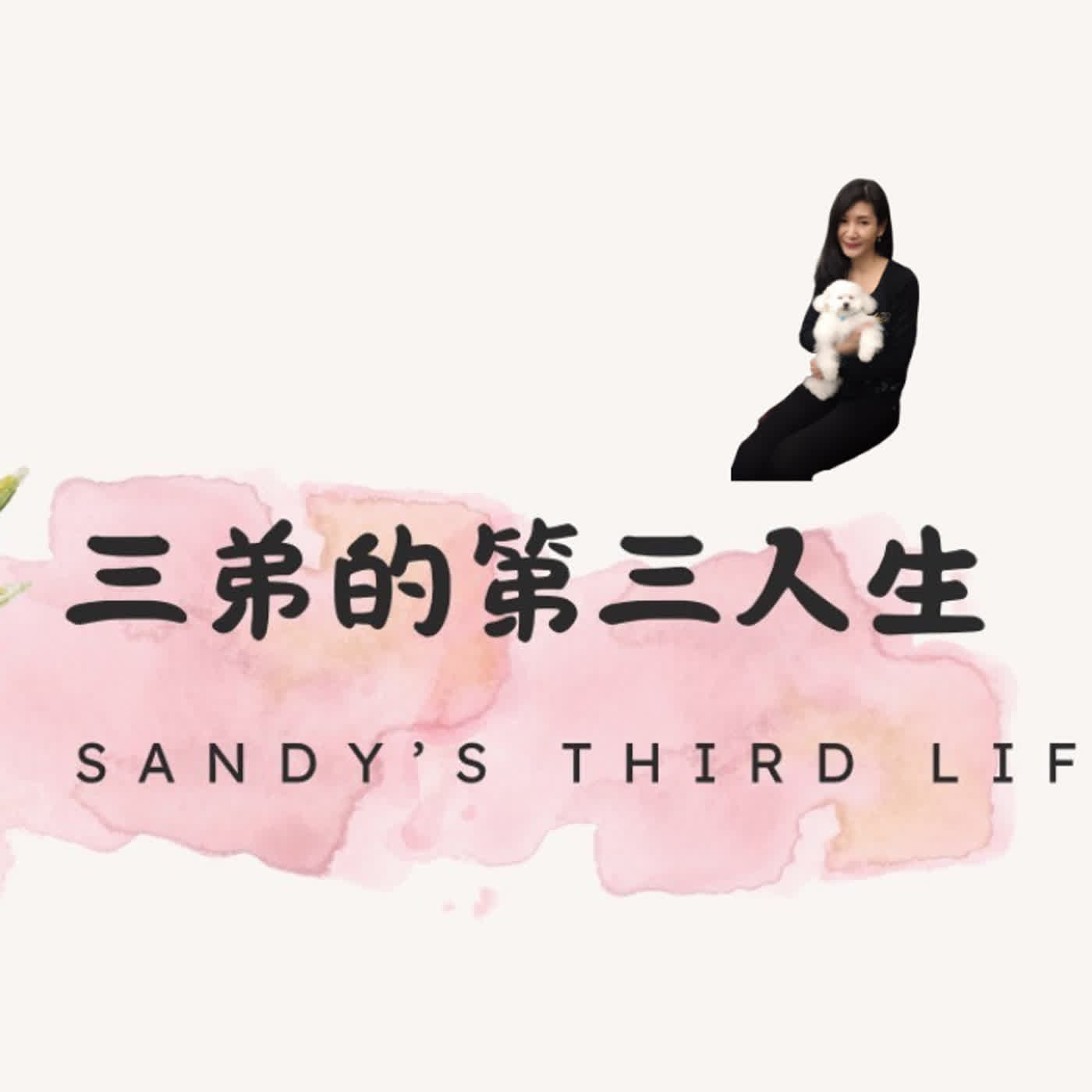 🎧《三弟的第三人生》EP37 【能量系列2】主動，是最高級的能量：從 Dora 的「追夫記」看能量流動 episode artwork