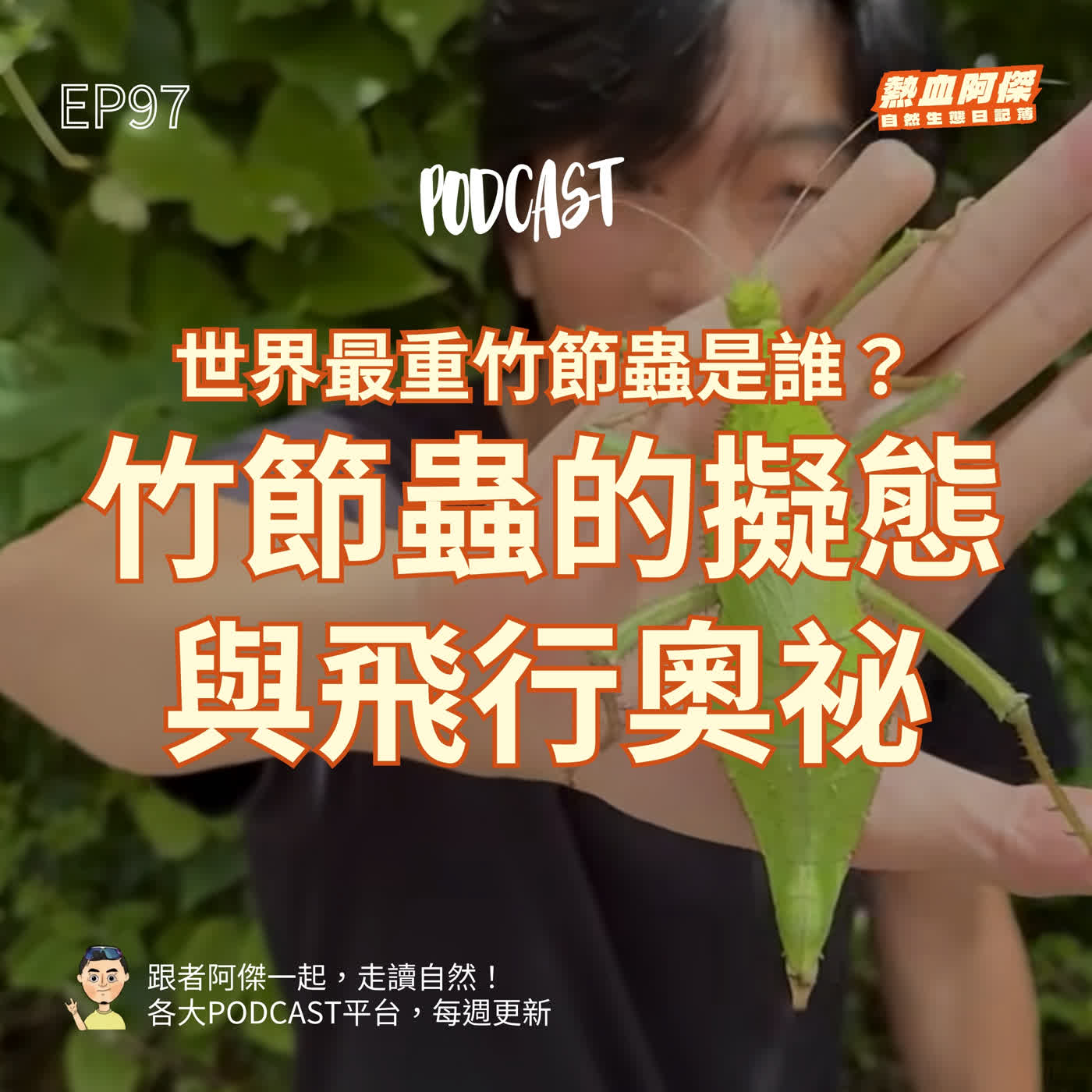 EP97｜世界最重竹節蟲是誰？竹節蟲的擬態與飛行奧祕