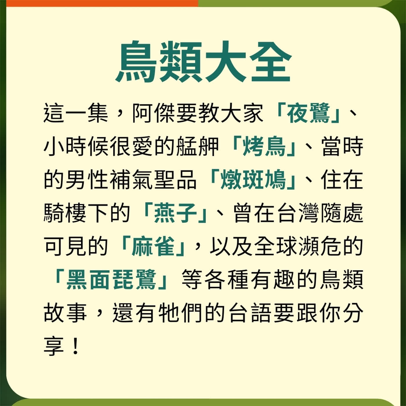 EP53 【跟著阿傑說台語】鳥類大全 EP53 【跟著阿傑說台語】鳥類大全