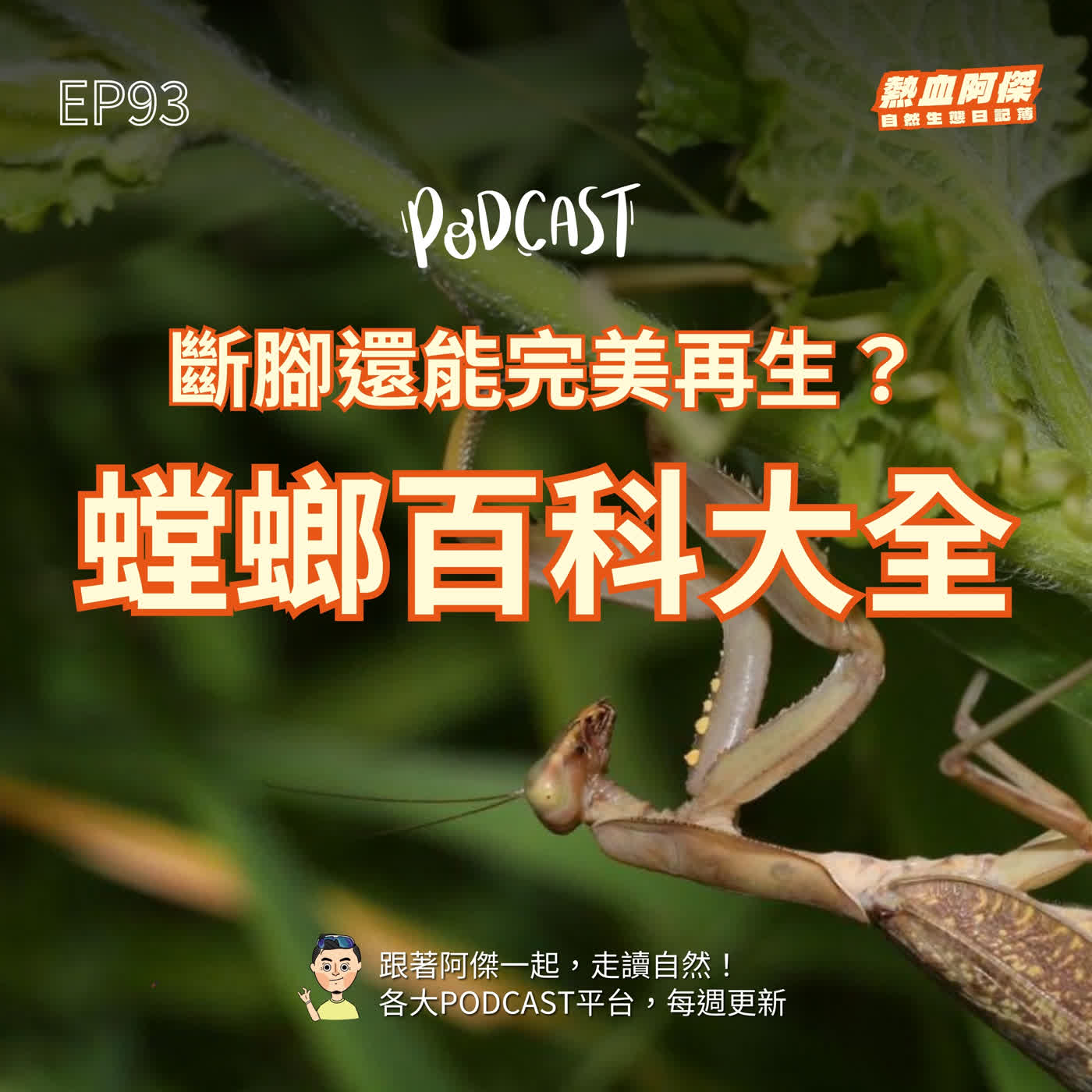 EP93｜斷腳還能完美再生？阿傑的螳螂百科大全