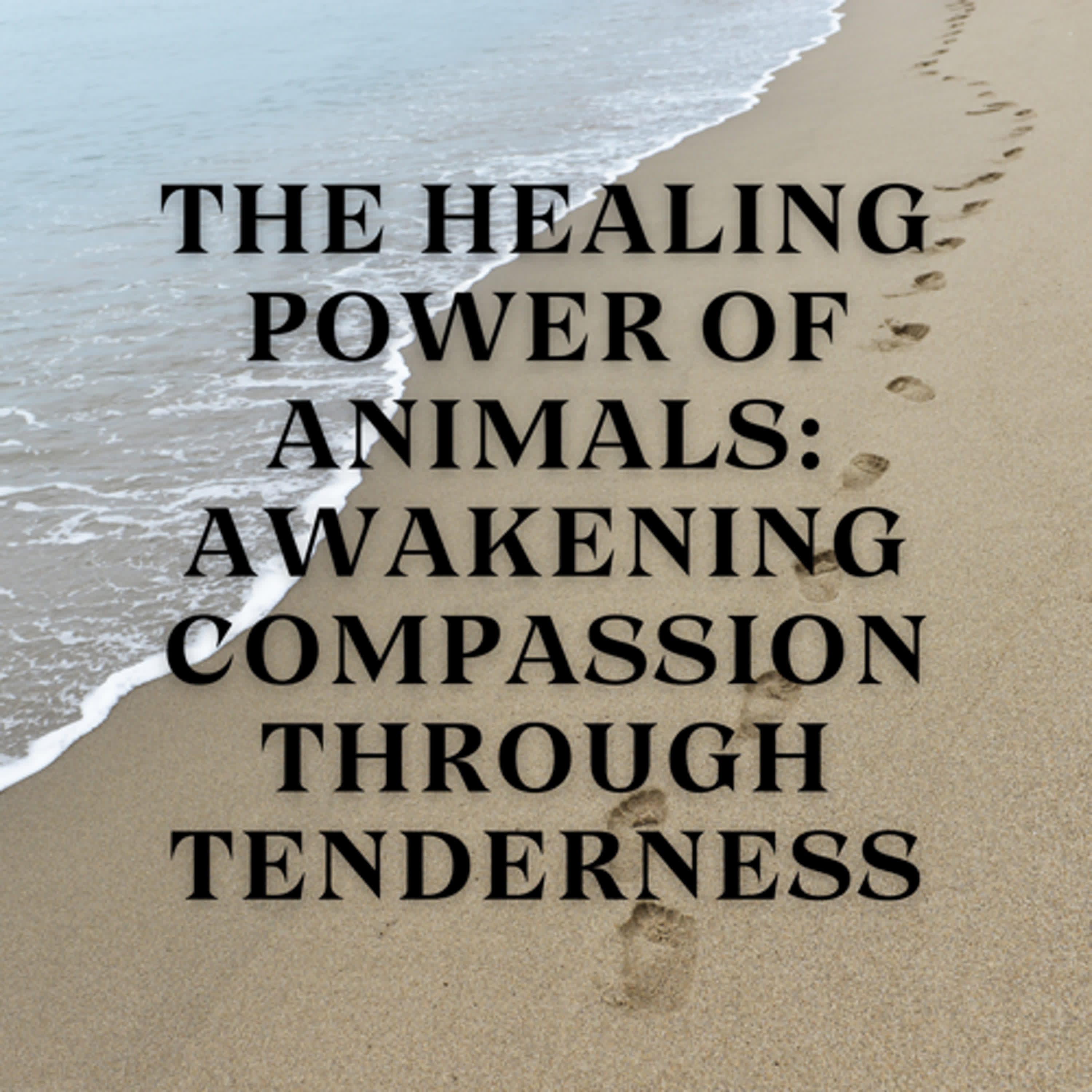 The Healing Power of Animals: Awakening Compassion Through Tenderness The Healing Power of Animals: Awakening Compassion Through Tenderness