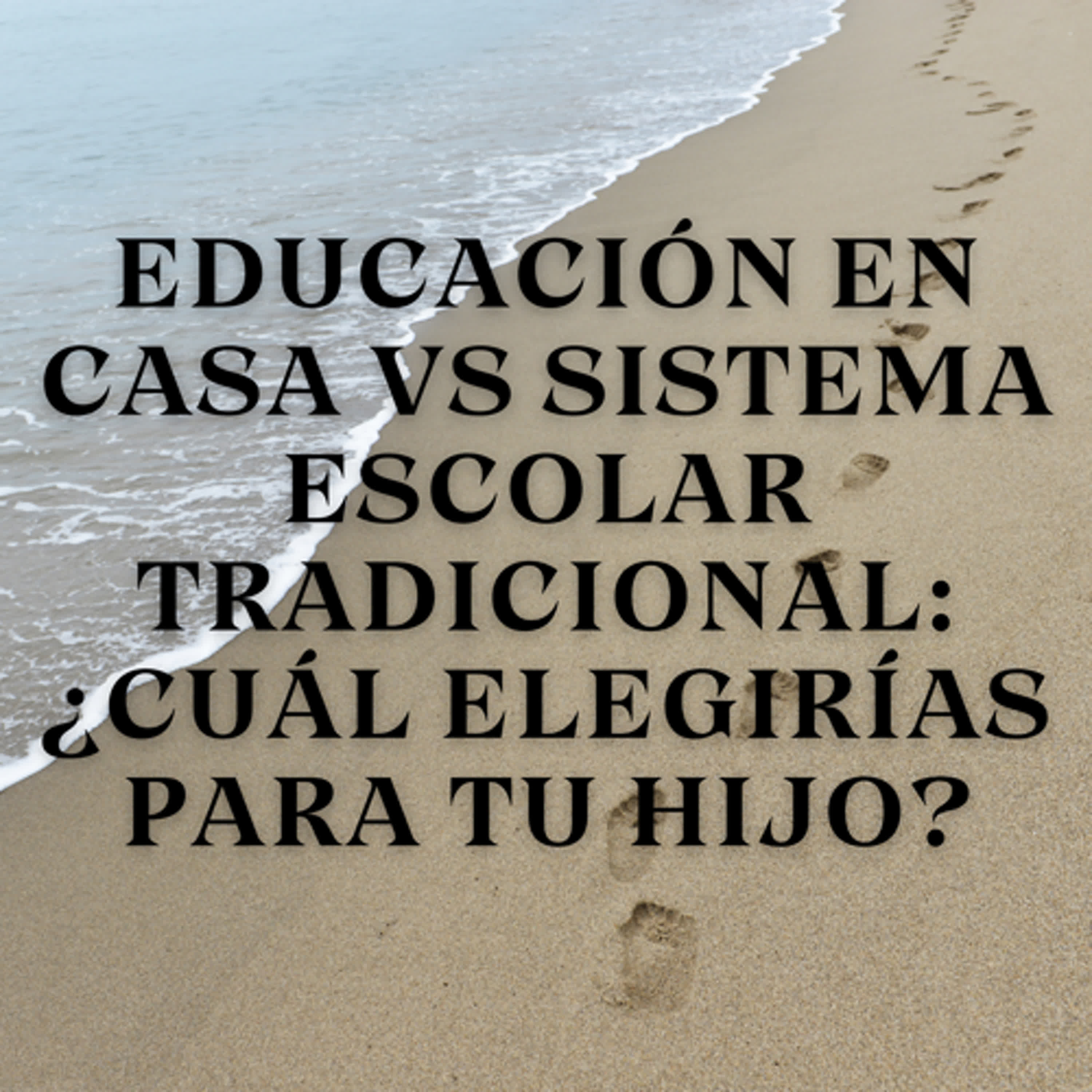 educación en casa vs sistema escolar tradicional: ¿cuál elegirías para tu hijo? episode artwork