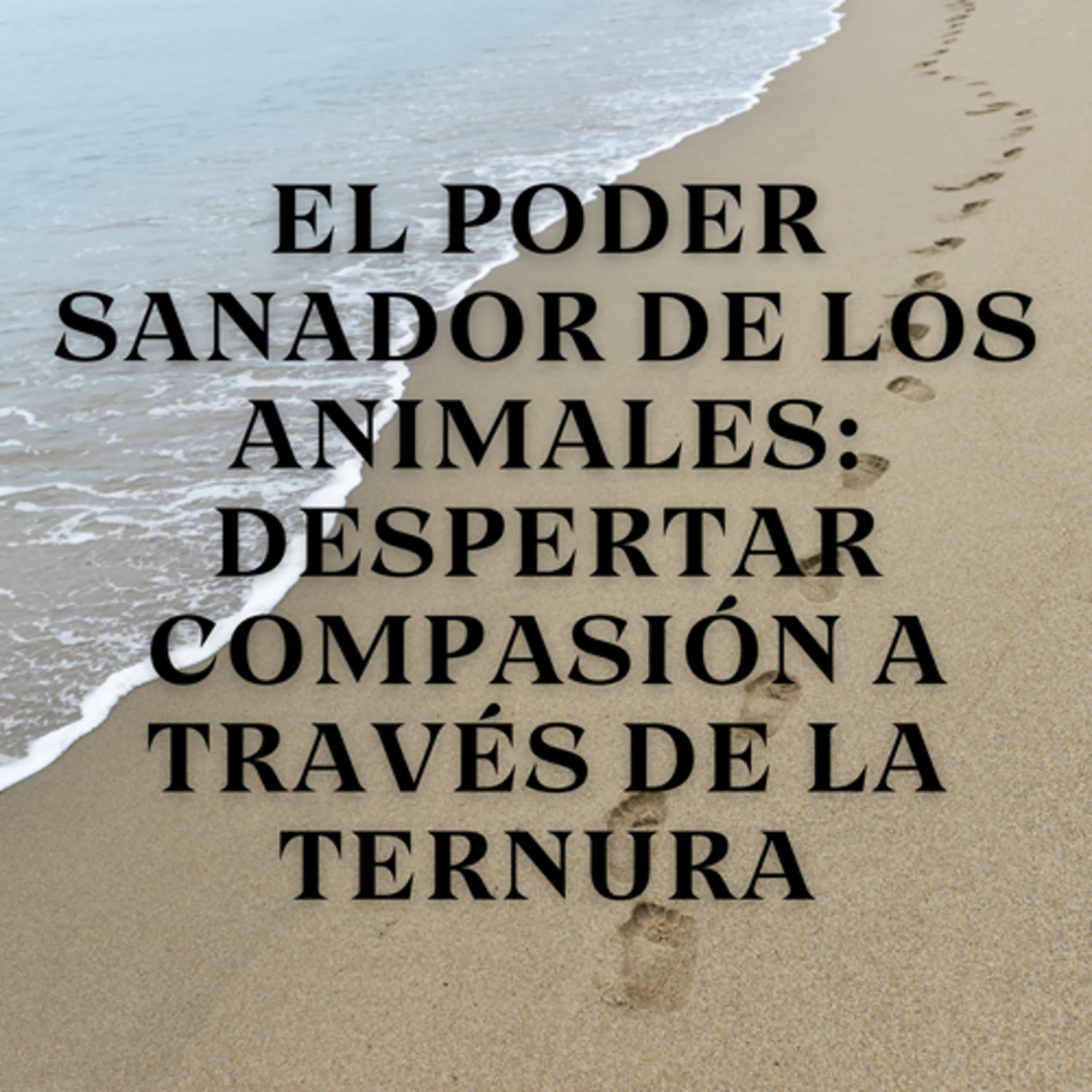 El poder sanador de los animales: Despertar compasión a través de la ternura episode artwork