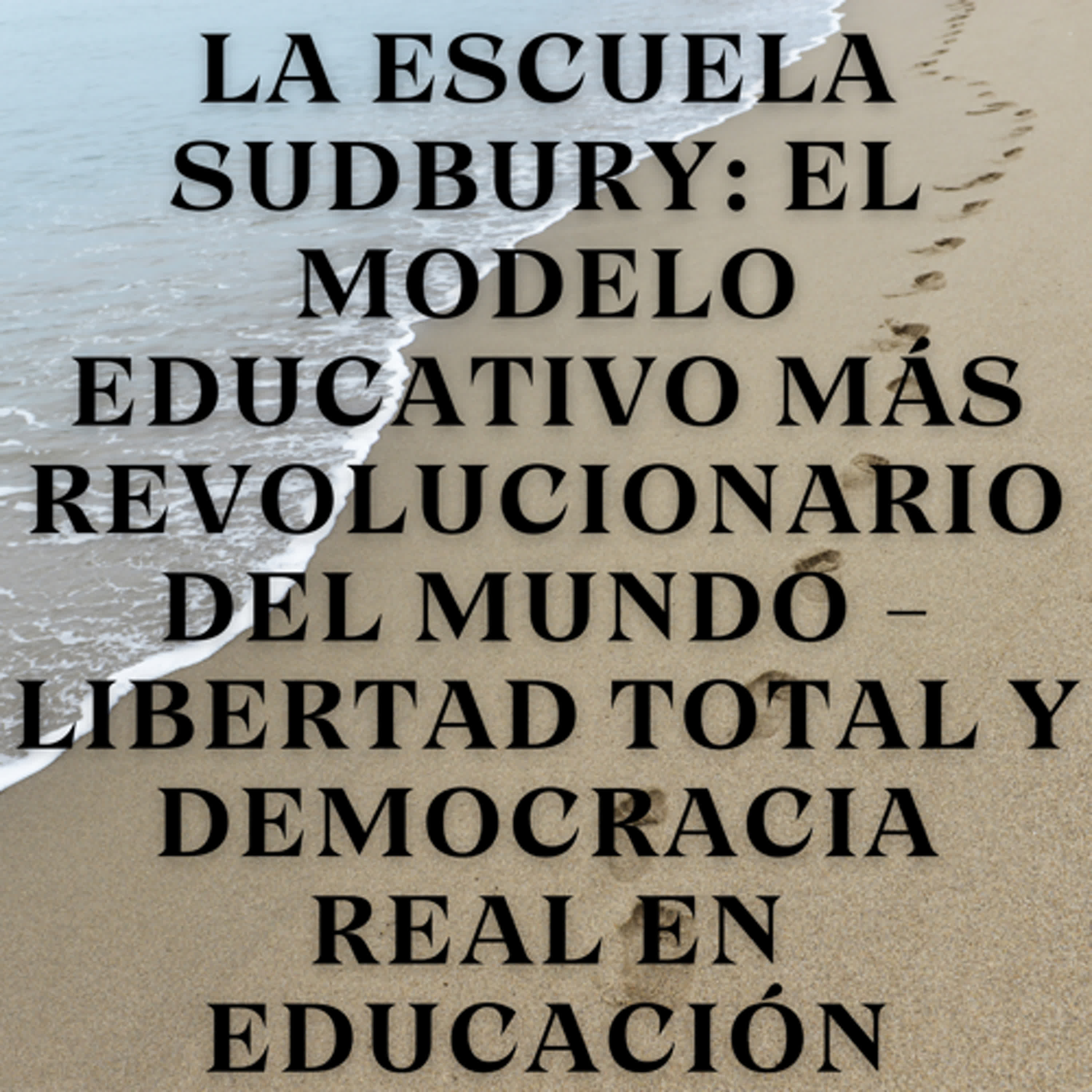 La Escuela Sudbury: El Modelo Educativo Más Revolucionario del Mundo - Libertad Total y Democracia Real en Educación episode artwork