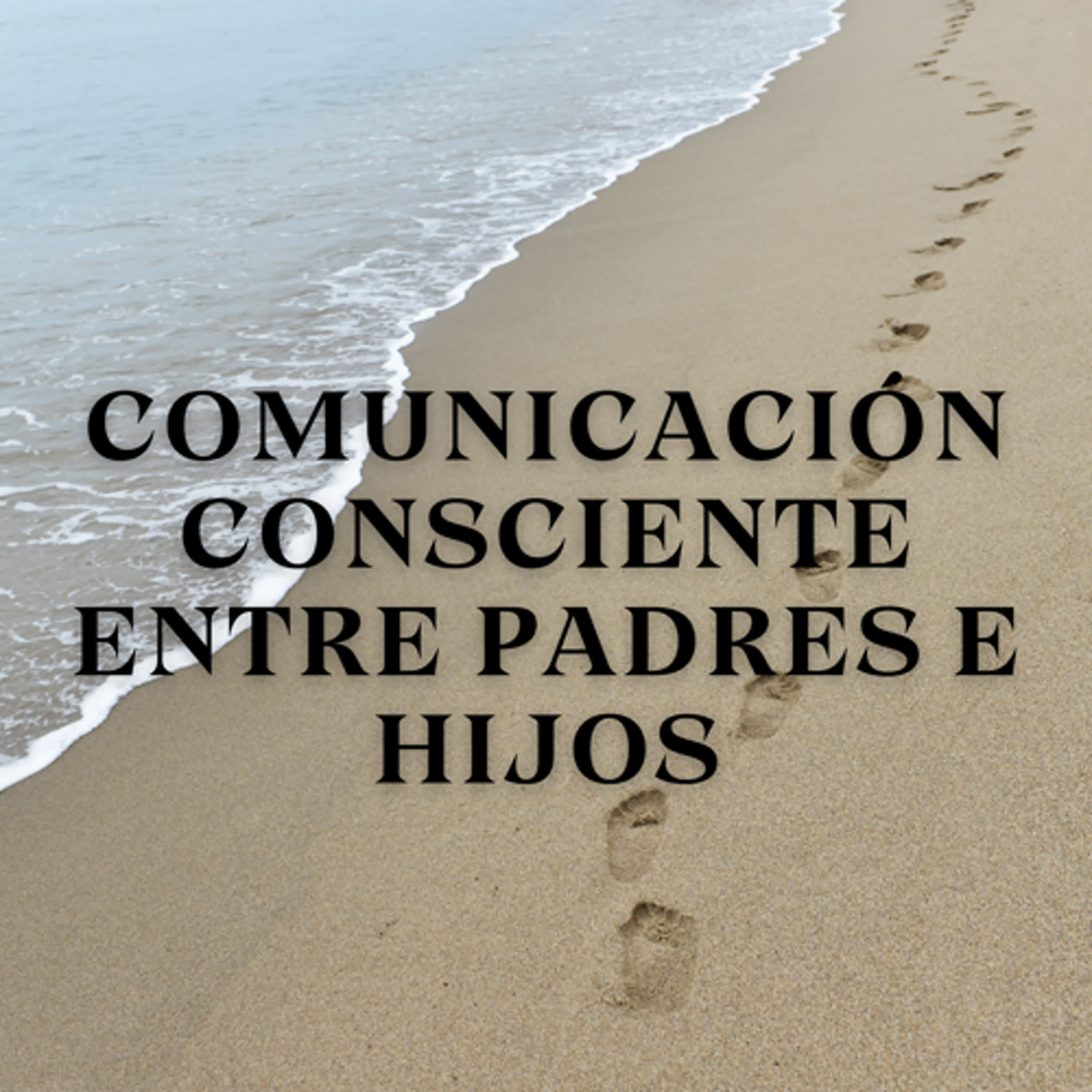 Comunicación Consciente entre Padres e Hijos episode artwork