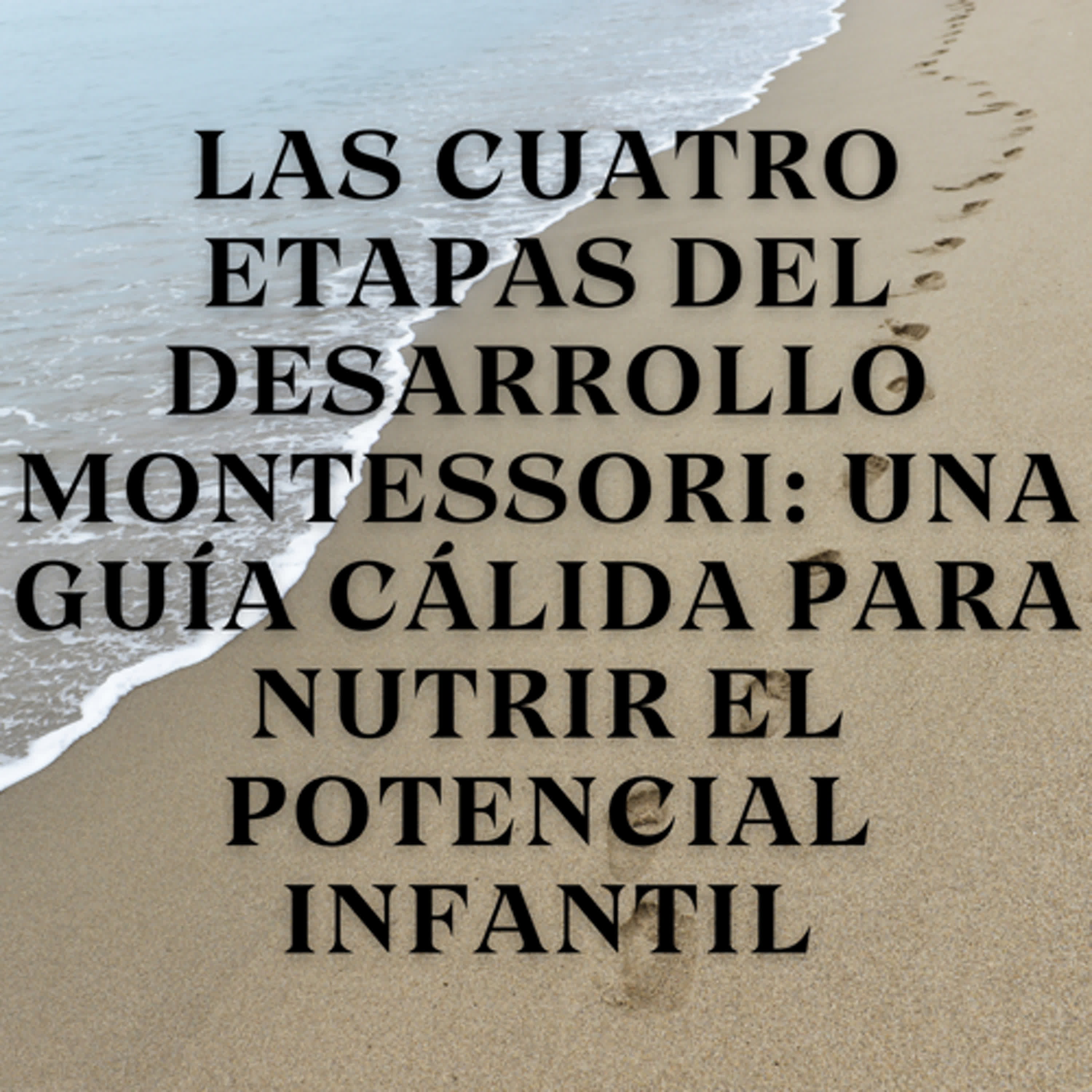 Las Cuatro Etapas del Desarrollo Montessori: Una Guía Cálida para Nutrir el Potencial Infantil Las Cuatro Etapas del Desarrollo Montessori: Una Guía Cálida para Nutrir el Potencial Infantil