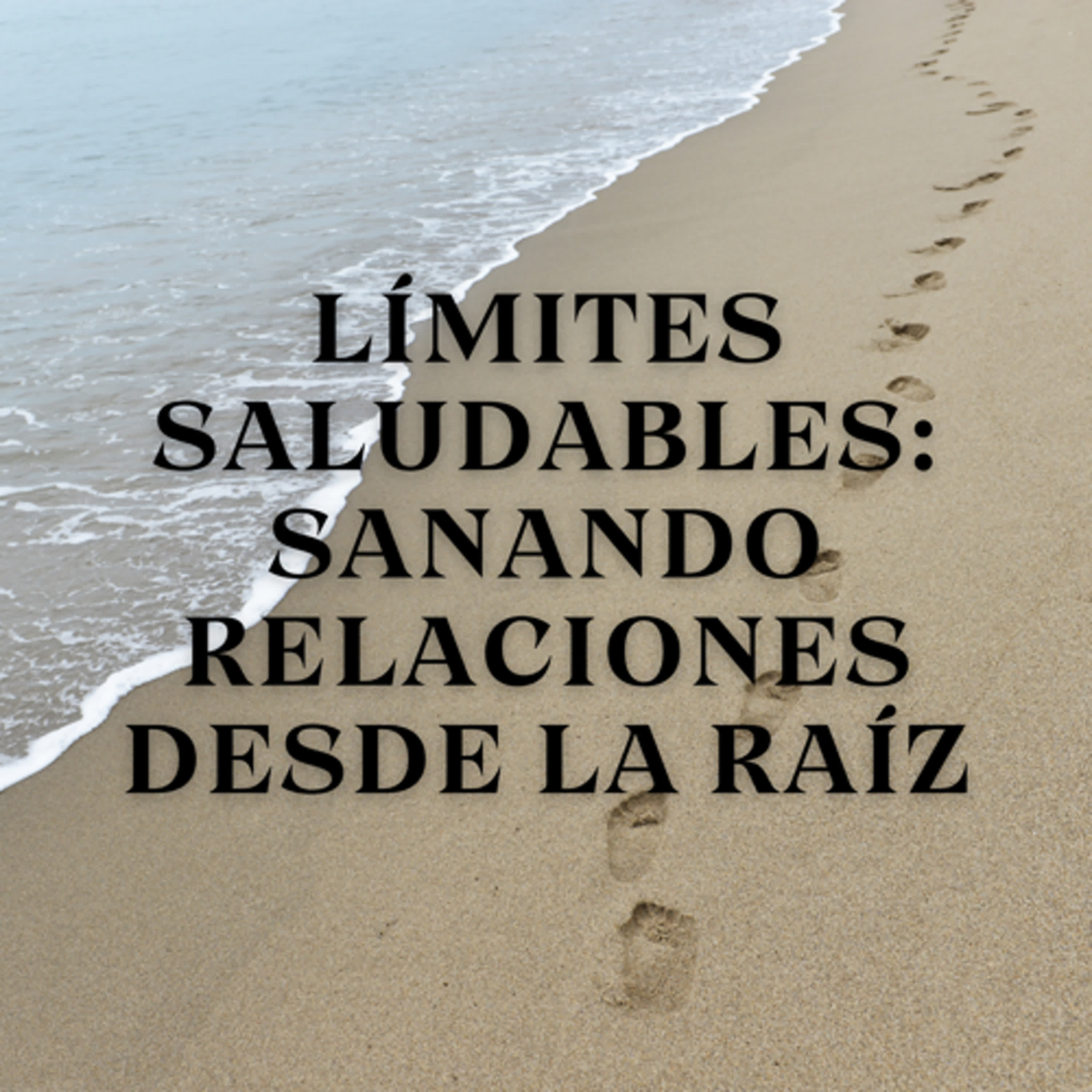 Límites saludables: Sanando relaciones desde la raíz episode artwork