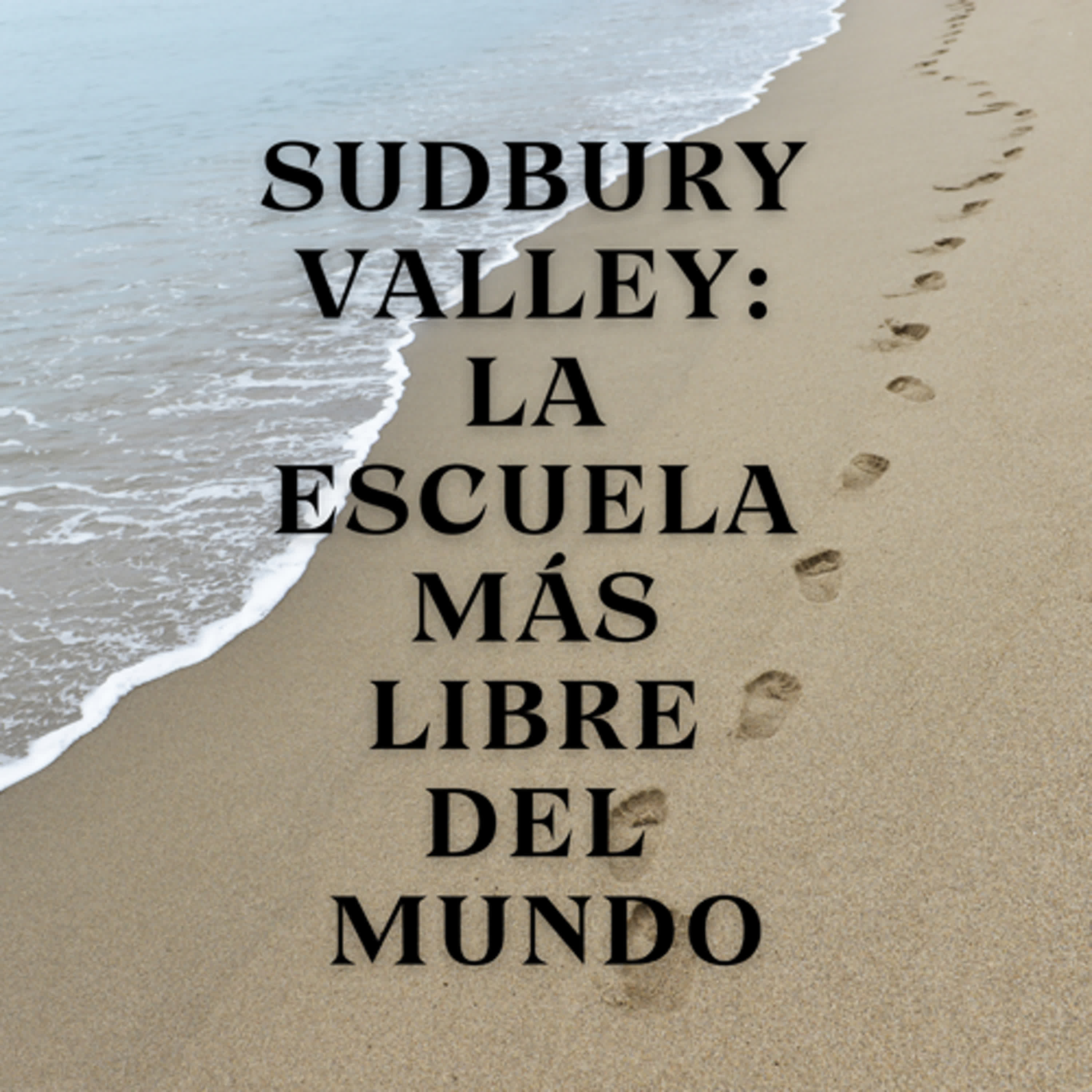 Sudbury Valley: La Escuela Más Libre del Mundo episode artwork