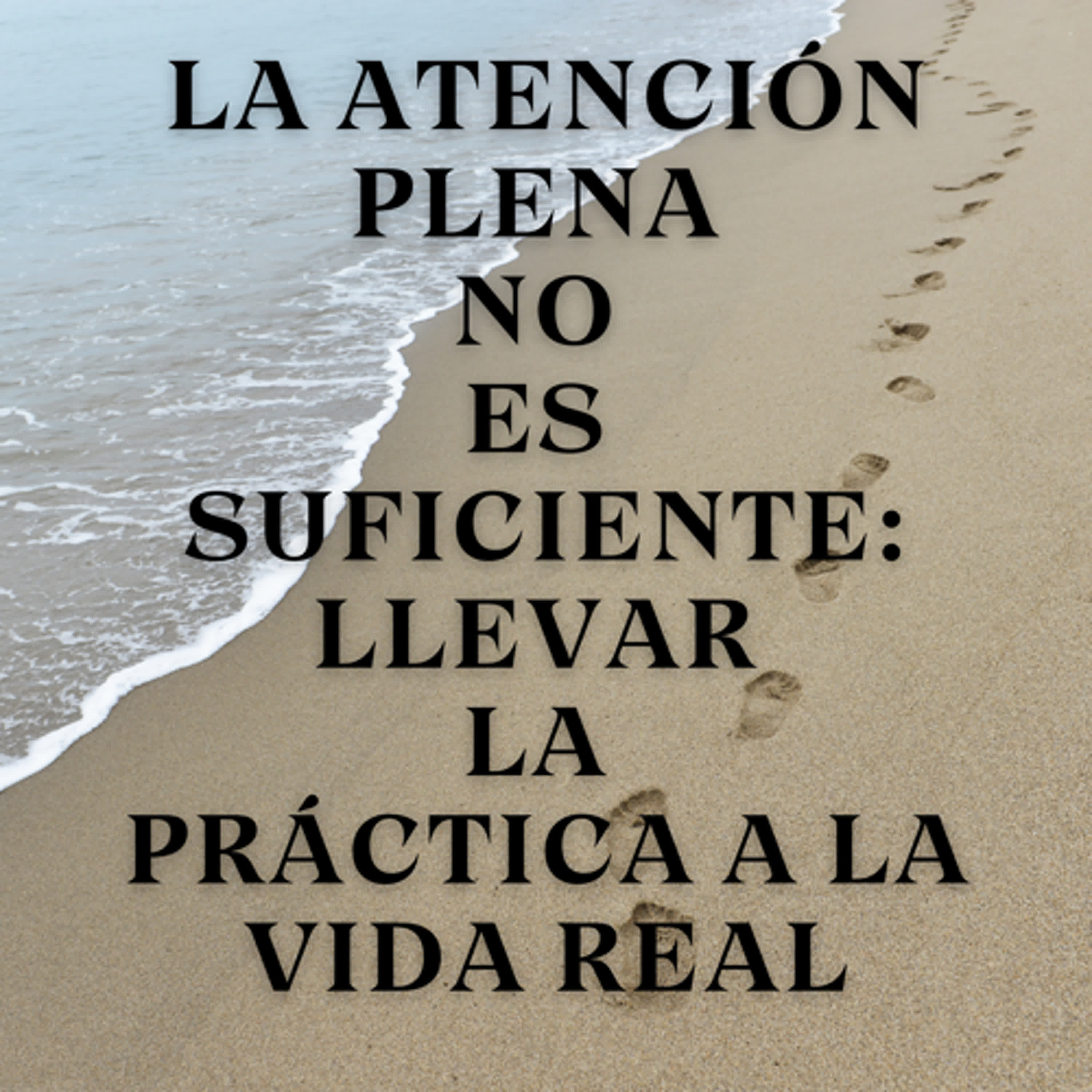 La Atención Plena No Es Suficiente: Llevar la Práctica a la Vida Real episode artwork