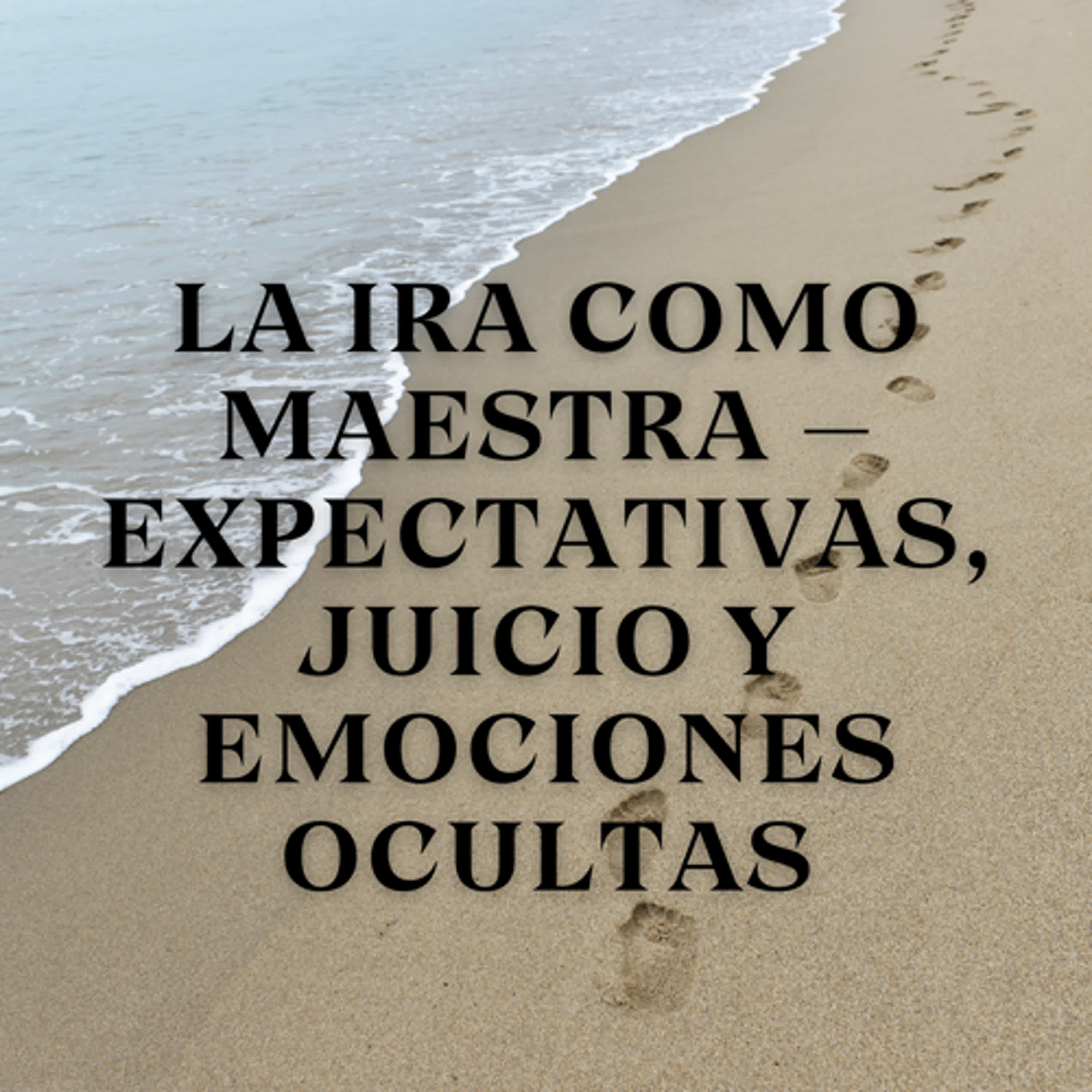 La Ira como Maestra – Expectativas, Juicio y Emociones Ocultas episode artwork