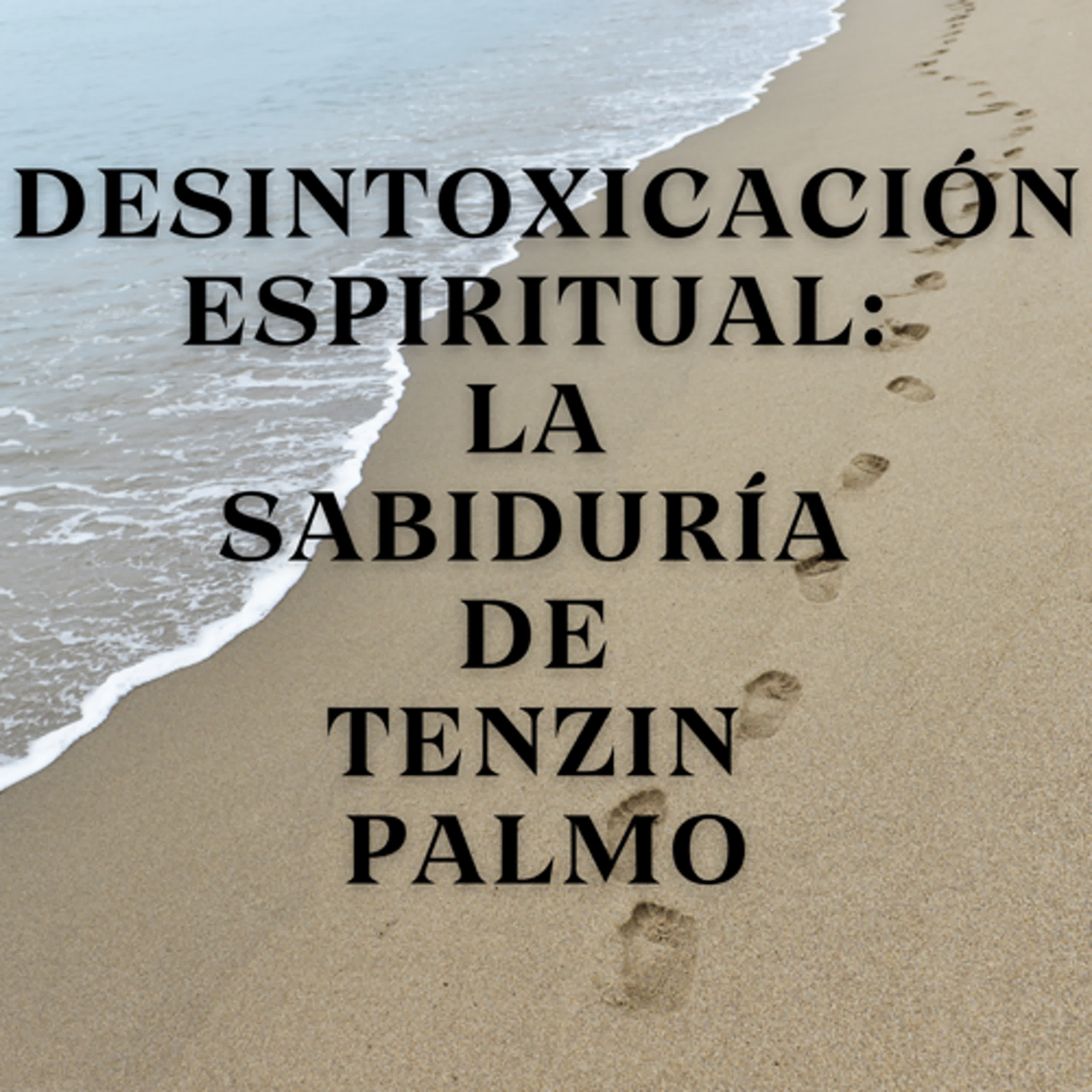 Desintoxicación Espiritual: La Sabiduría de Tenzin Palmo episode artwork