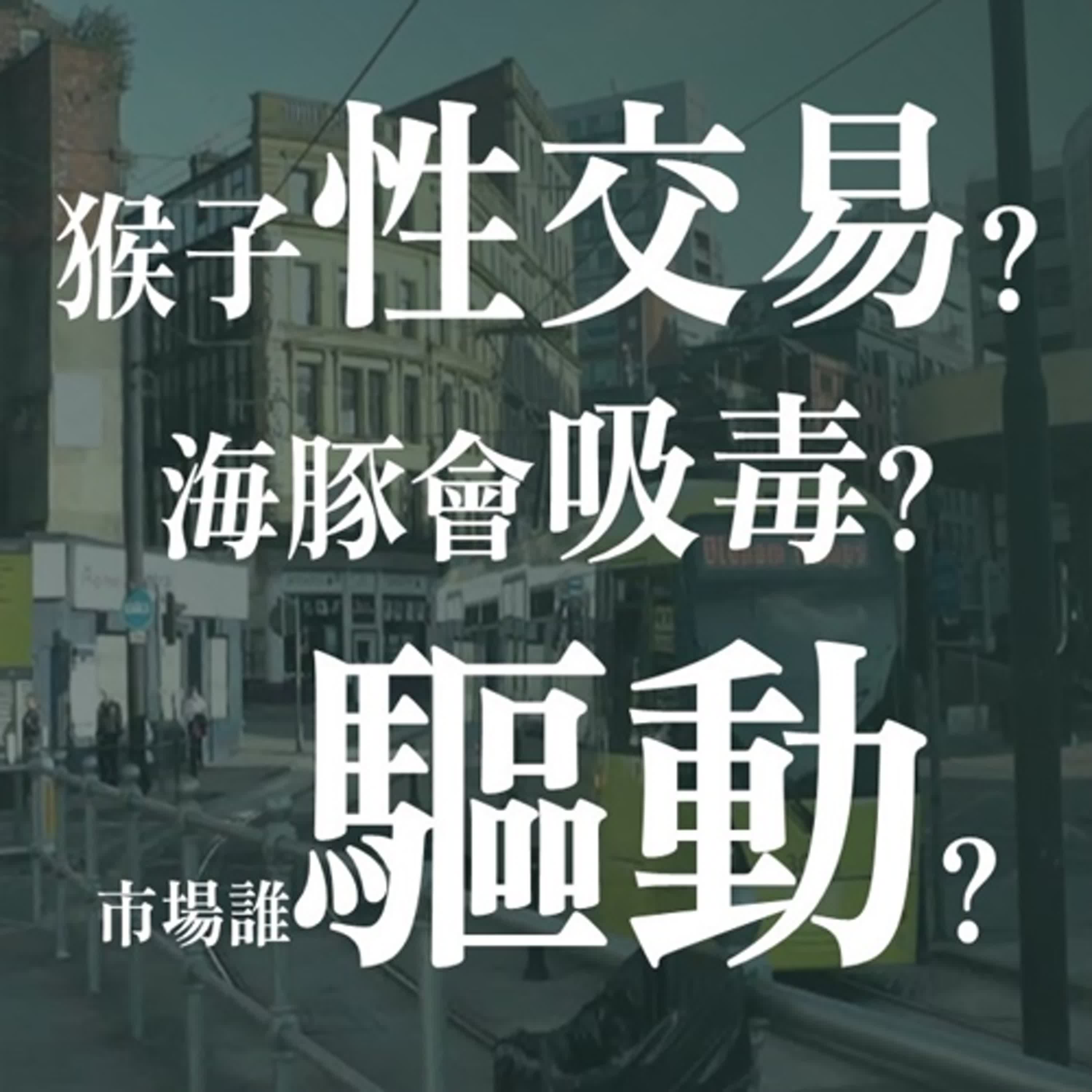 猴子性交易?海豚會吸毒?總說台灣是淺碟型市場的真實意義! | EP03 episode artwork