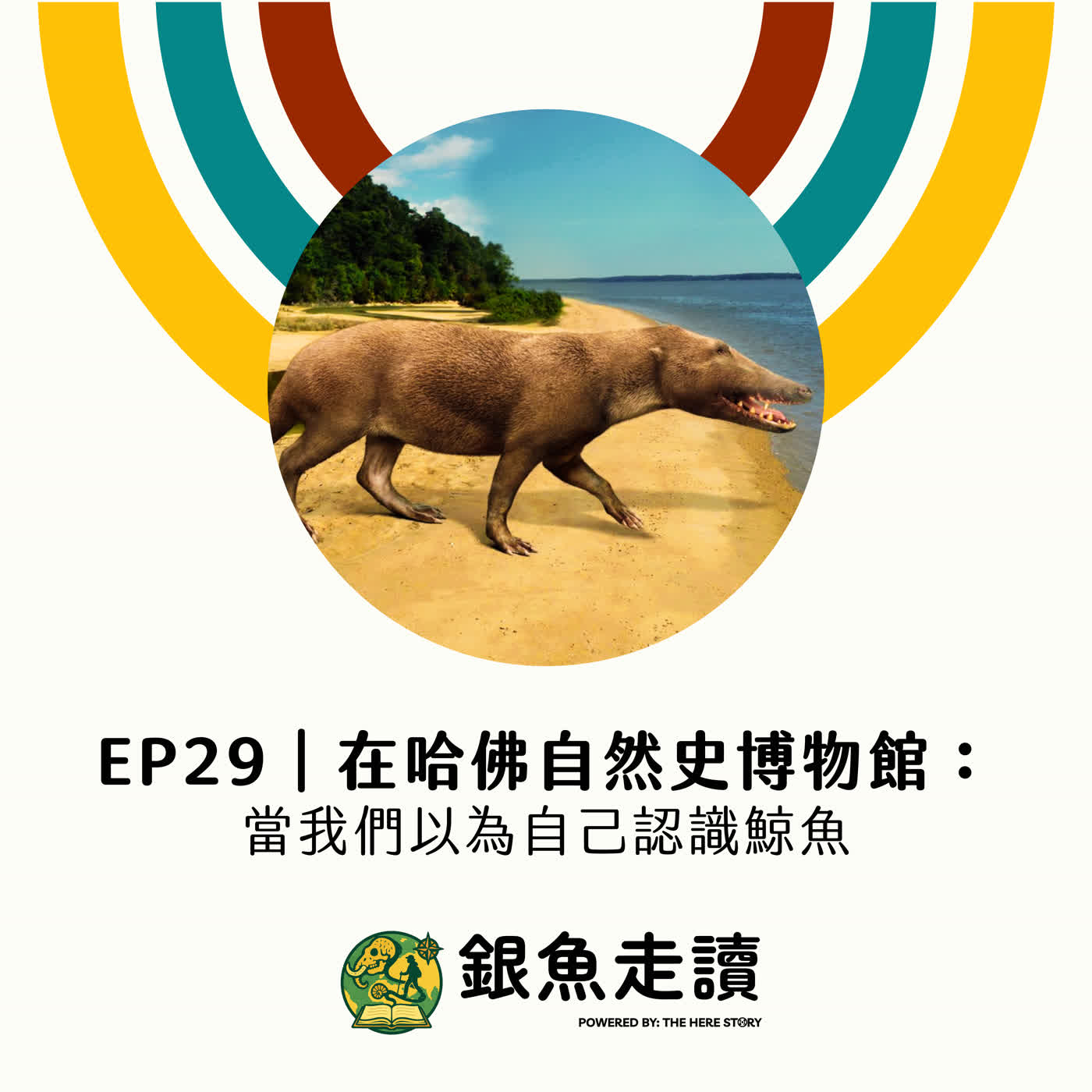 EP29 在哈佛自然史博物館:當我們以為自己認識鯨魚 episode artwork