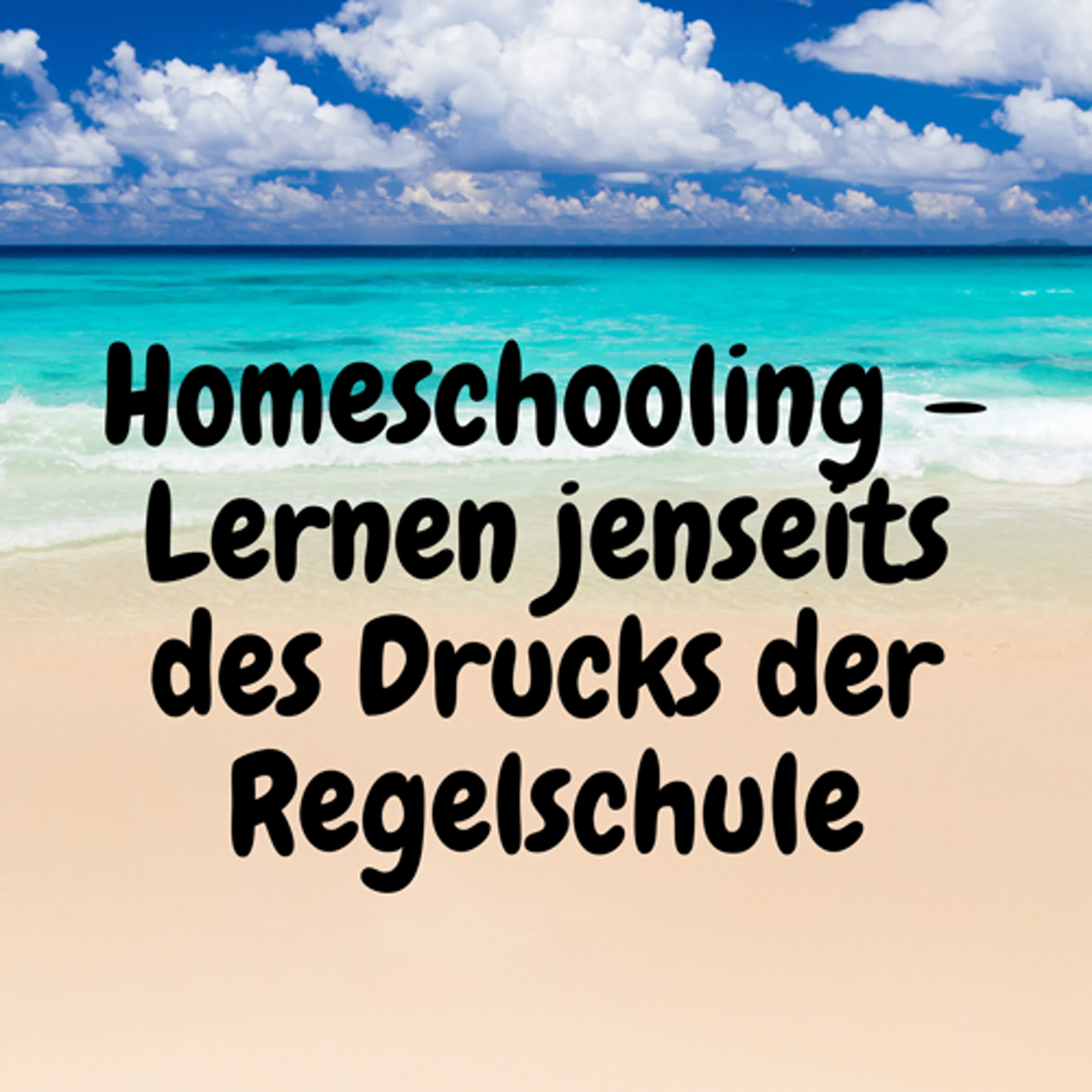 Homeschooling – Lernen jenseits des Drucks der Regelschule episode artwork