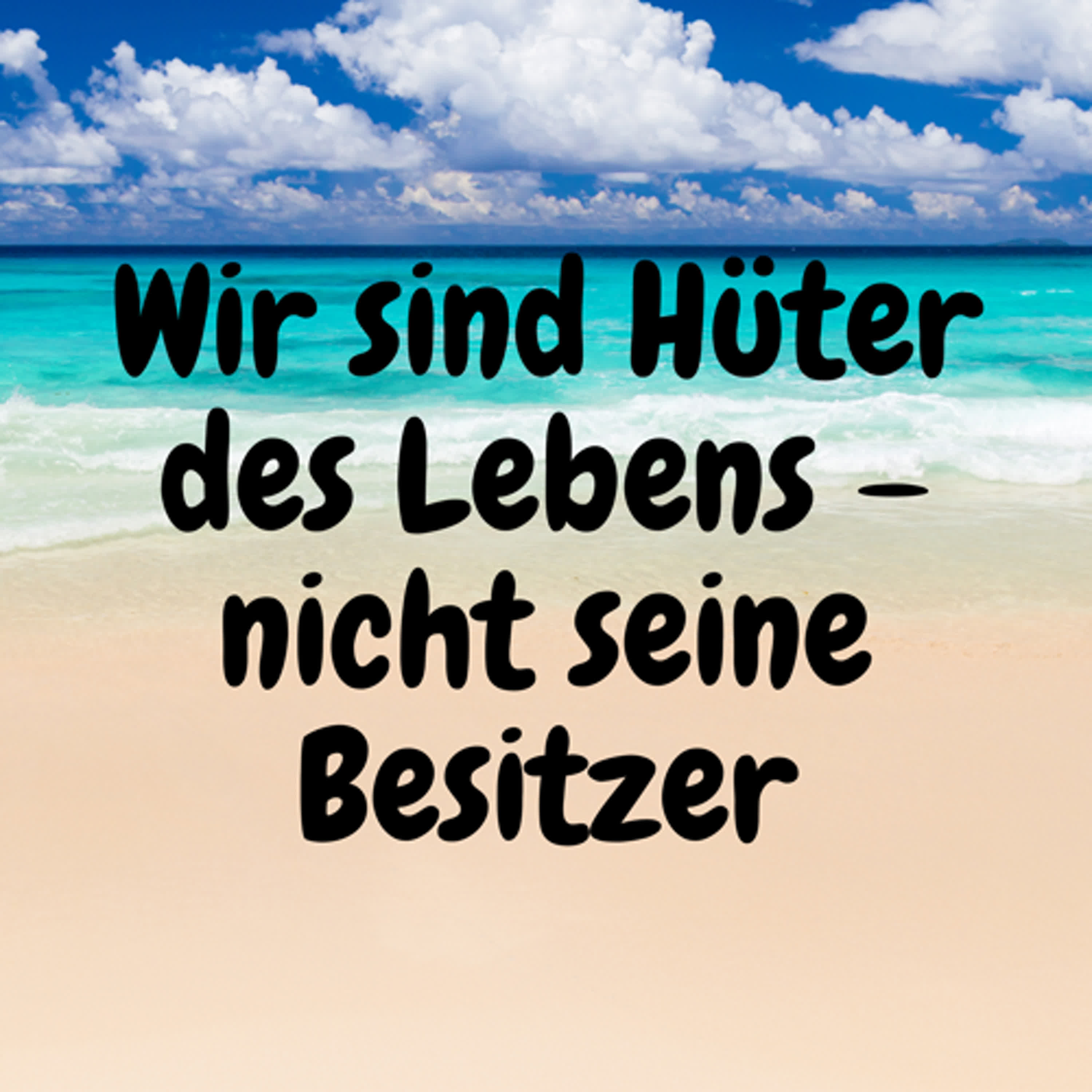 Wir sind Hüter des Lebens – nicht seine Besitzer episode artwork