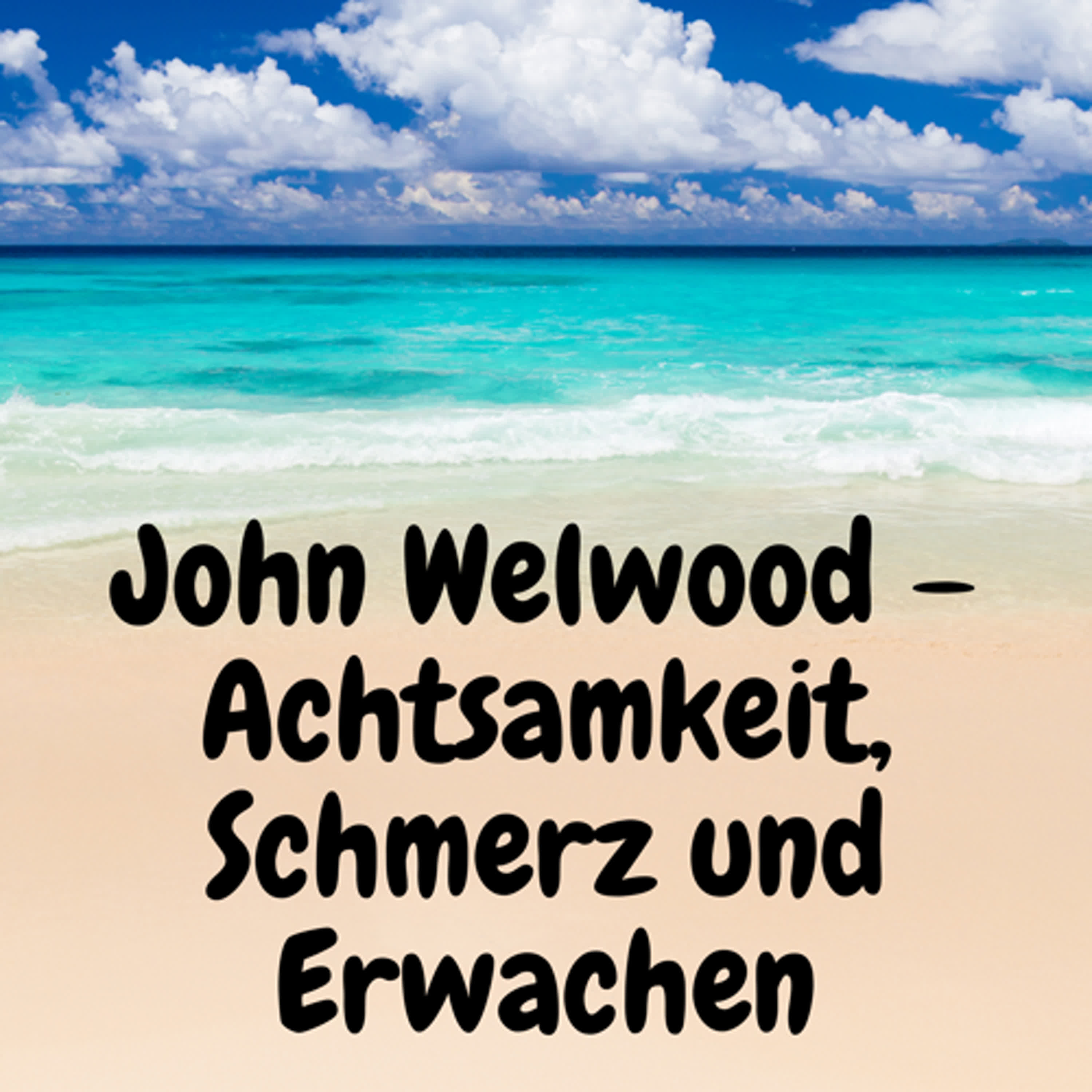 John Welwood – Achtsamkeit, Schmerz und Erwachen episode artwork