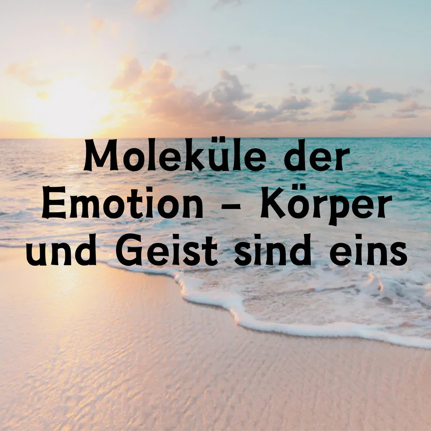 Moleküle der Emotion – Körper und Geist sind eins episode artwork
