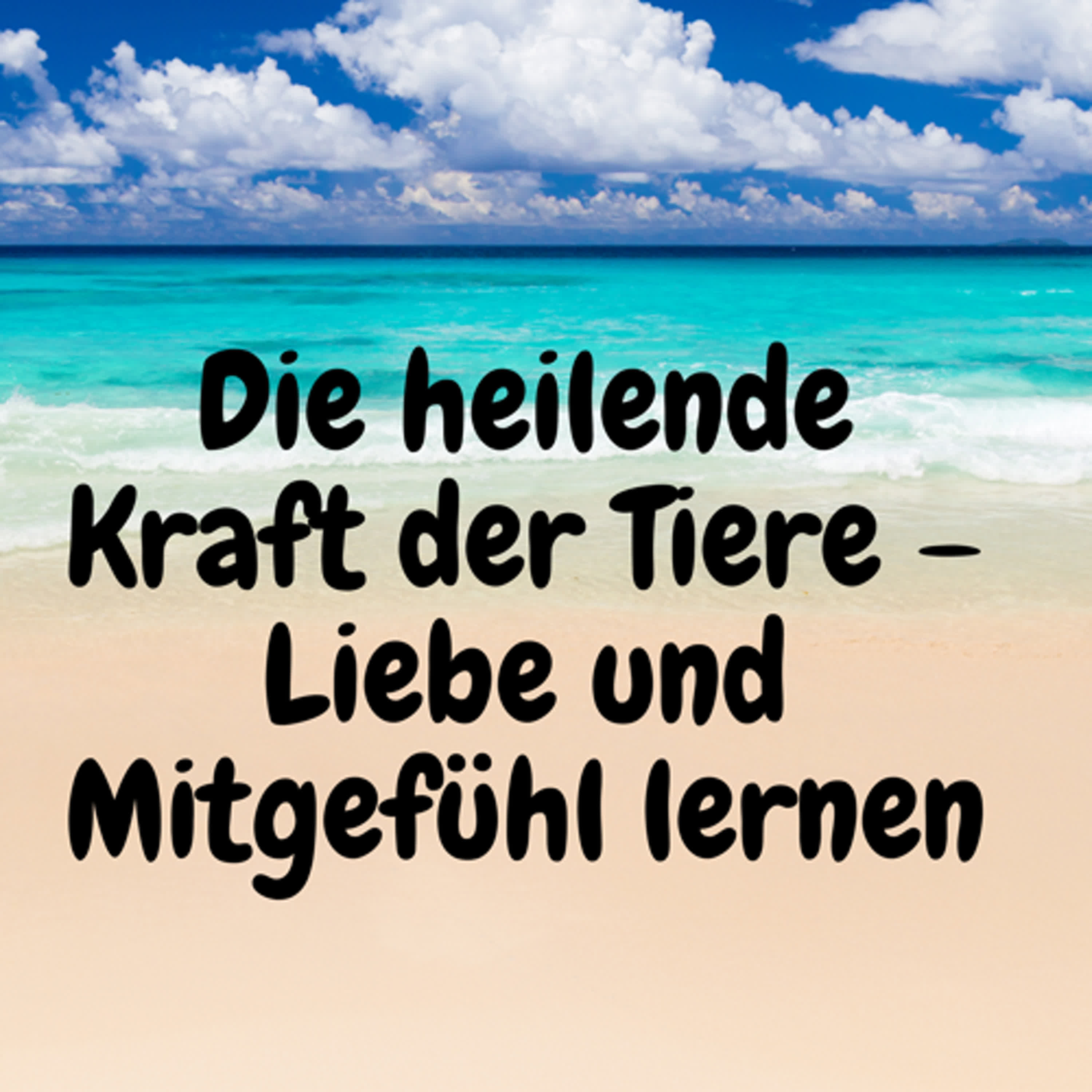 Die heilende Kraft der Tiere – Liebe und Mitgefühl lernen episode artwork