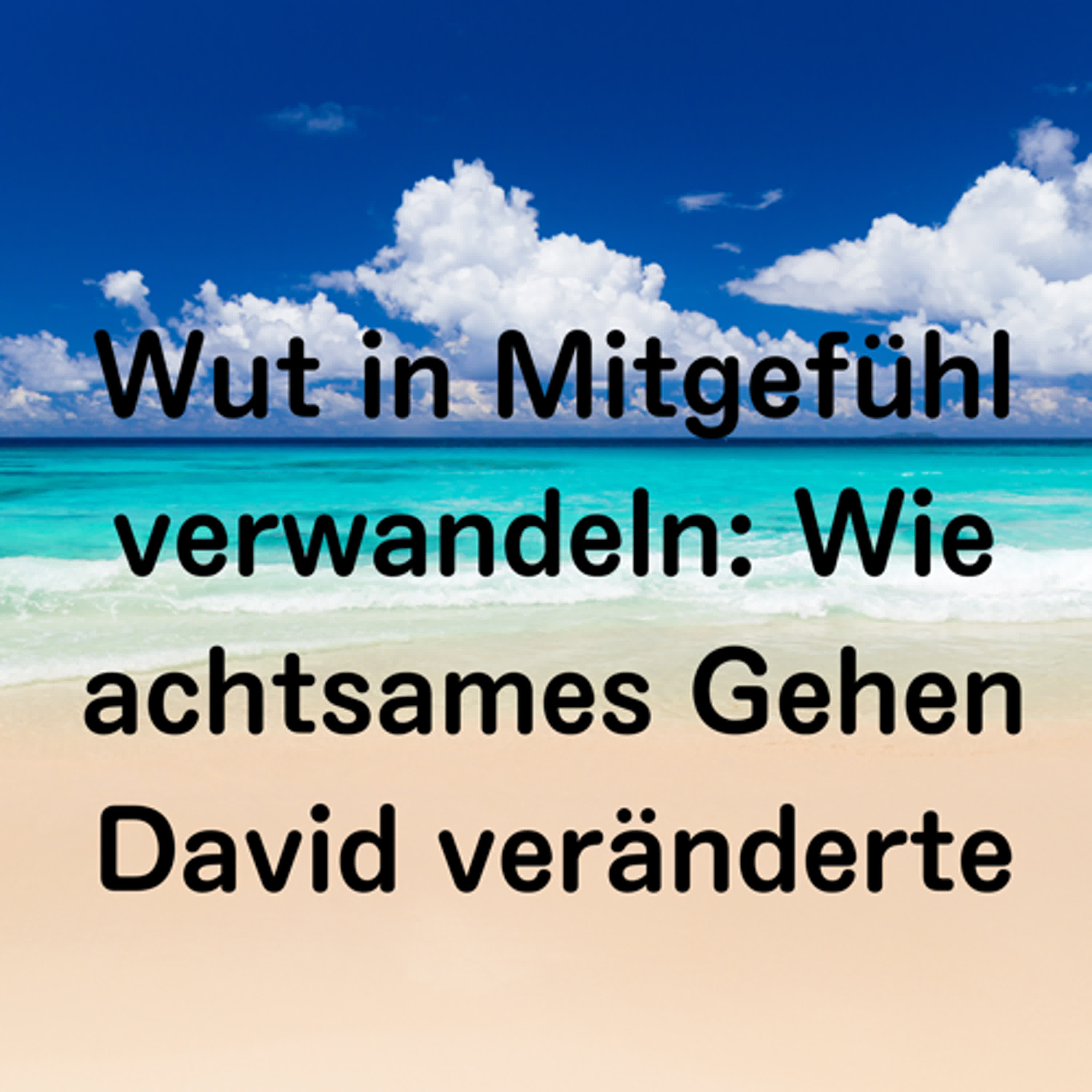 Wut in Mitgefühl verwandeln: Wie achtsames Gehen David veränderte episode artwork
