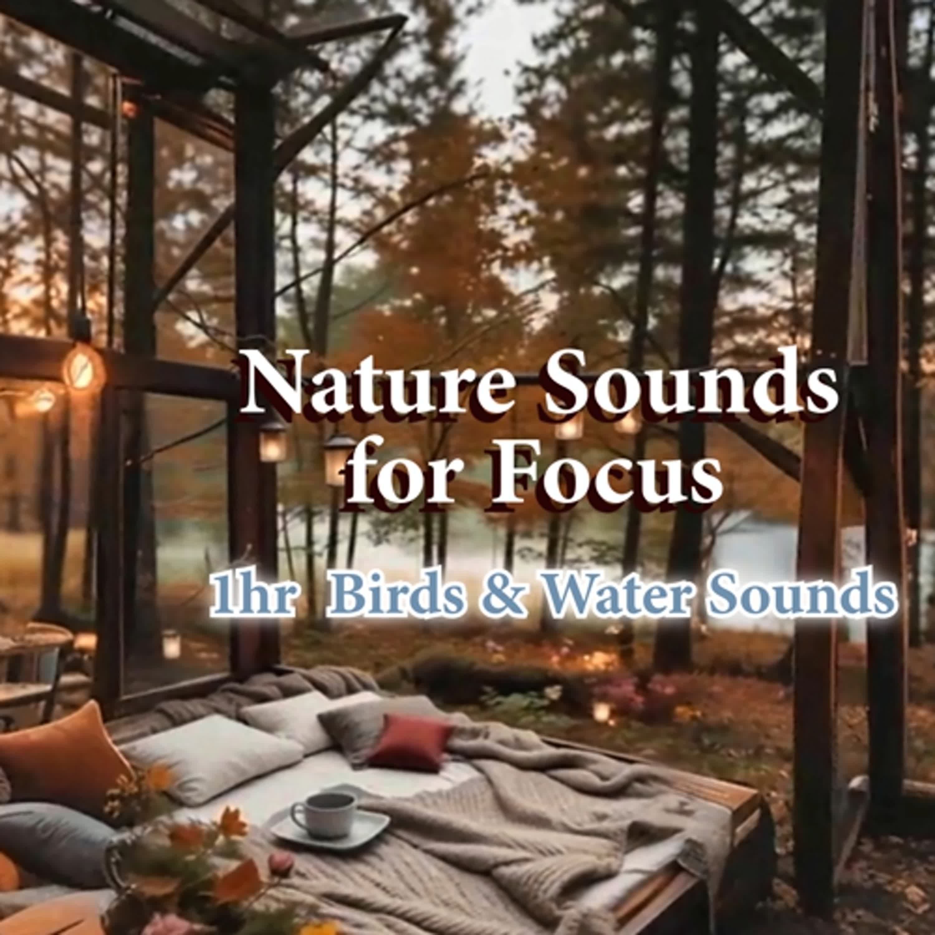 Birds & Stream Sounds for Deep Focus & Relaxation |  大自然鳥鳴與流水聲 – 1小時專注背景音 episode artwork