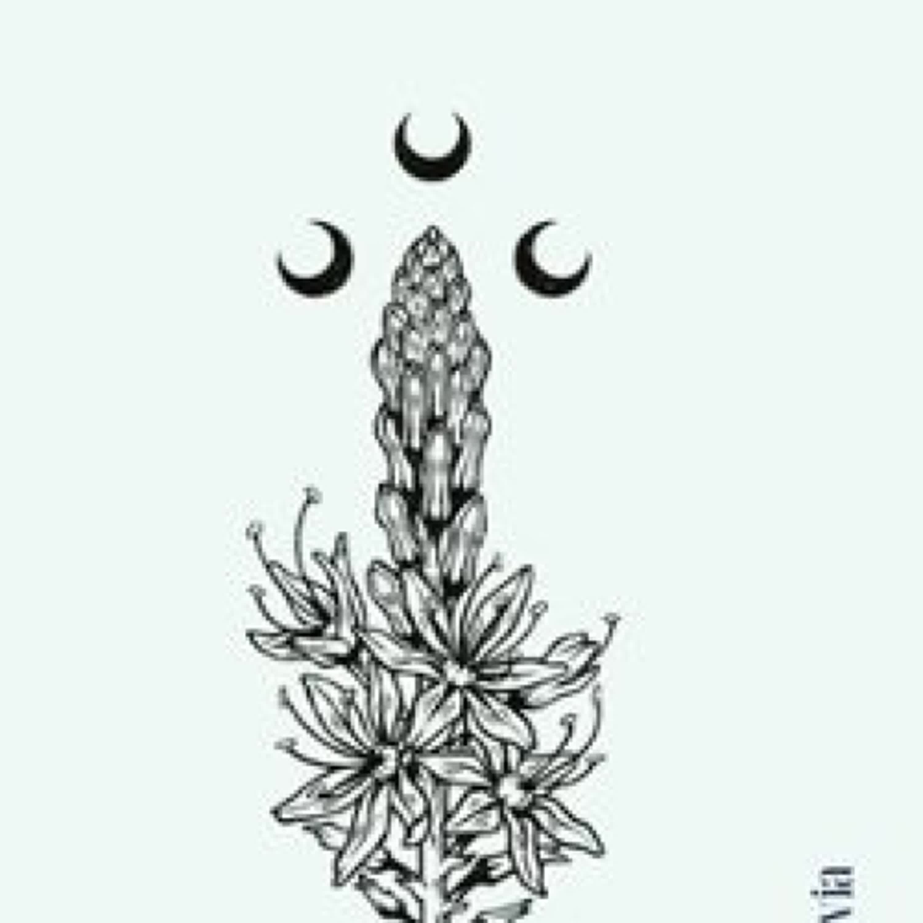 {descargar} LA HABITACIÓN DE LAS AHOGADAS