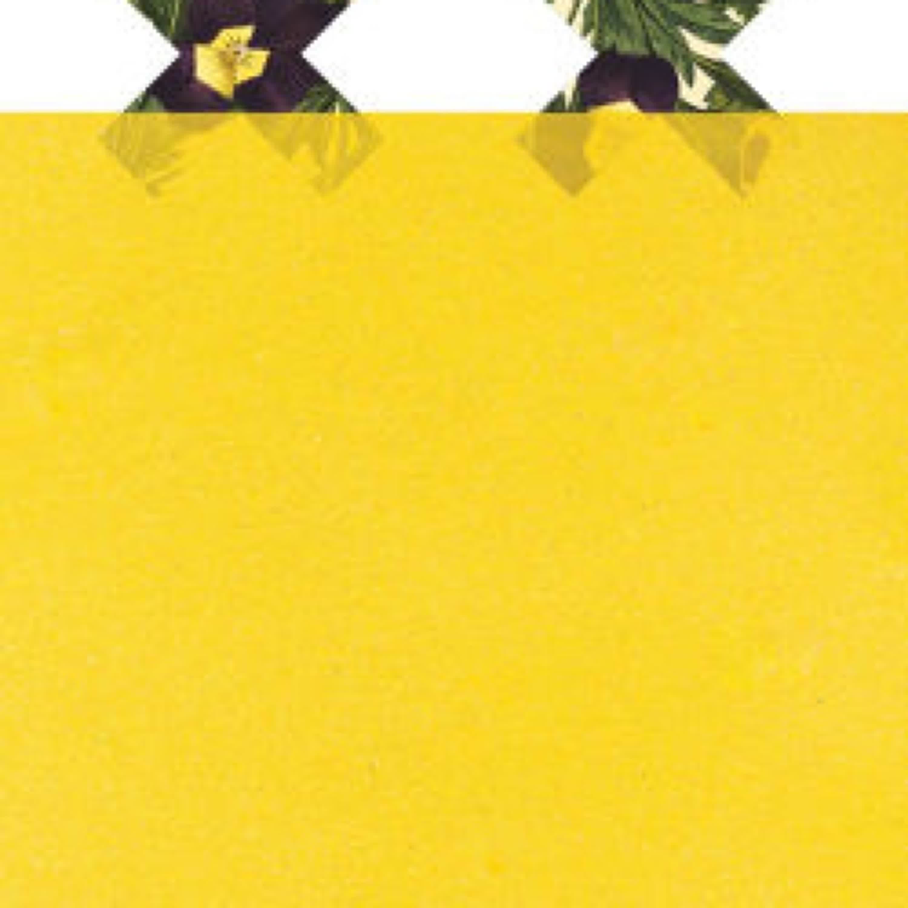 Read online: Killing Stella by Marlen Haushofer, Shaun Whiteside