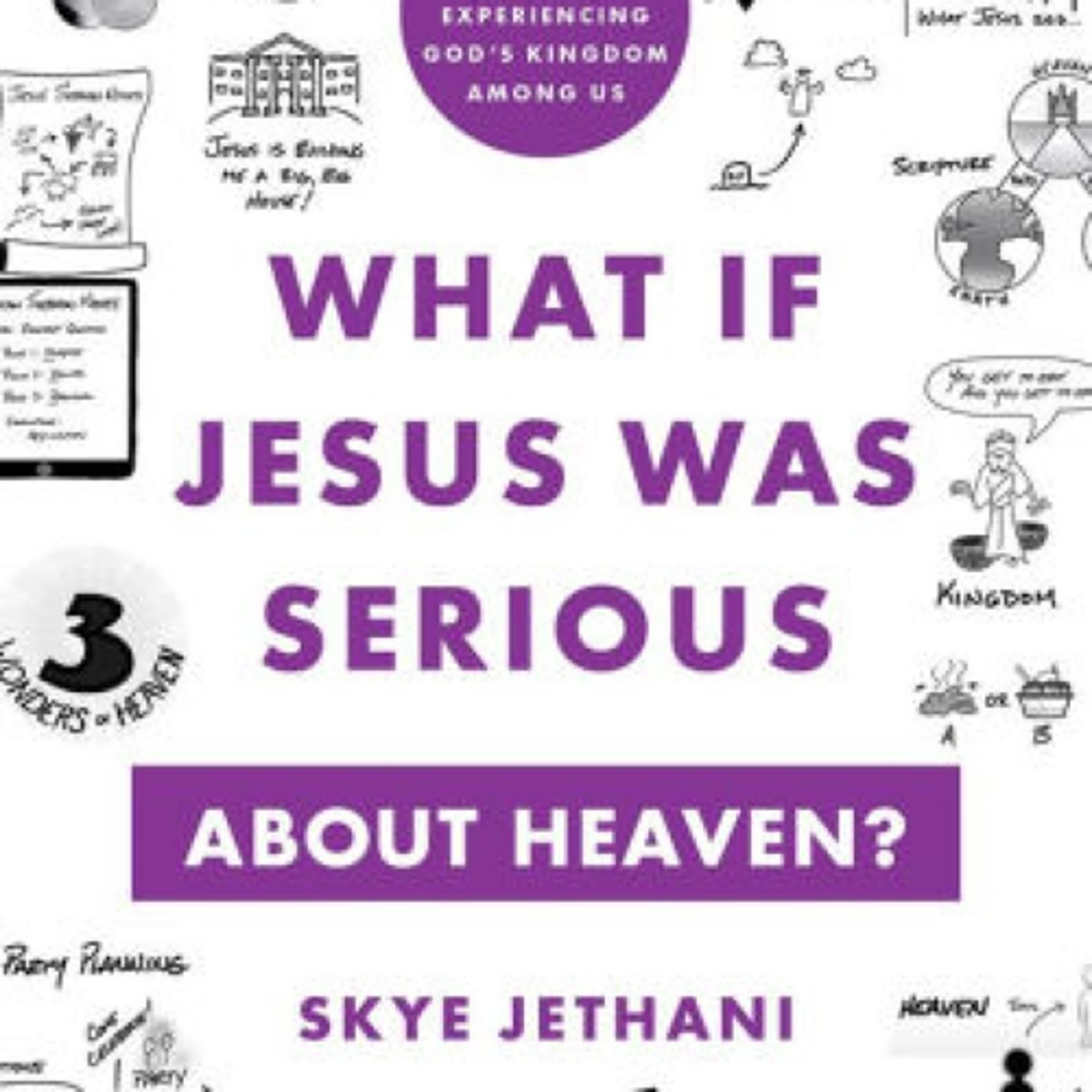 What If Jesus Was Serious about Heaven?: A Visual Guide to Experiencing God's Kingdom among Us by Skye Jethani on Iphone New Format