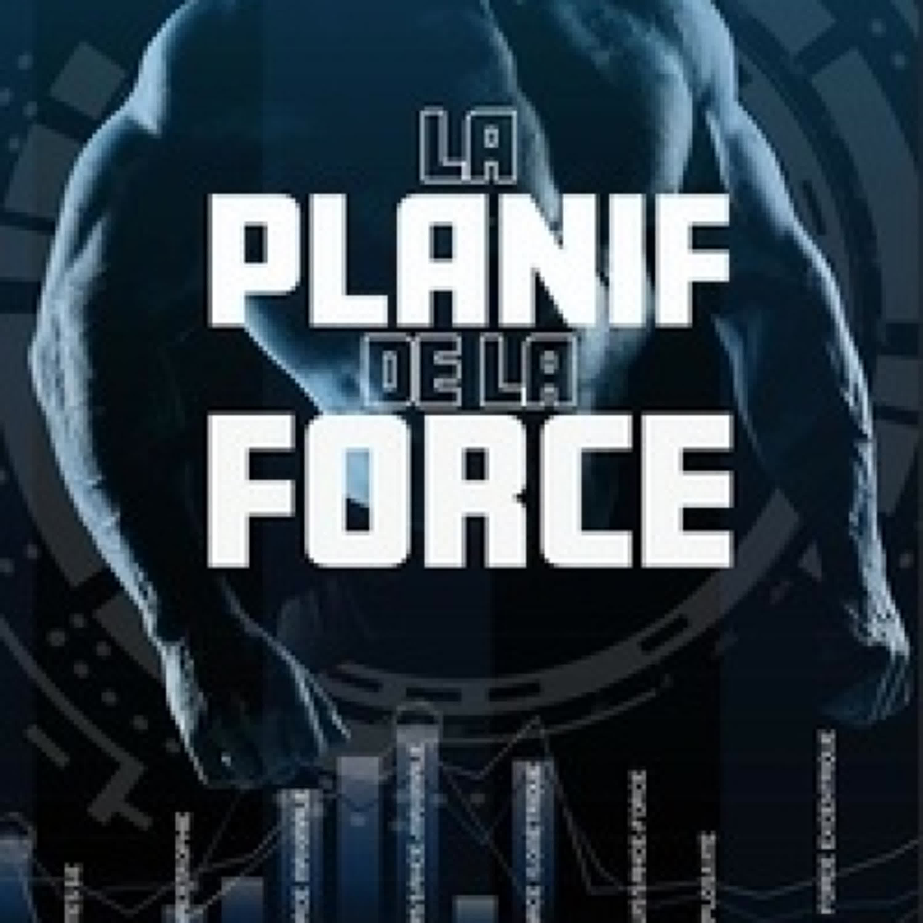 Télécharger Pdf La planif de la force