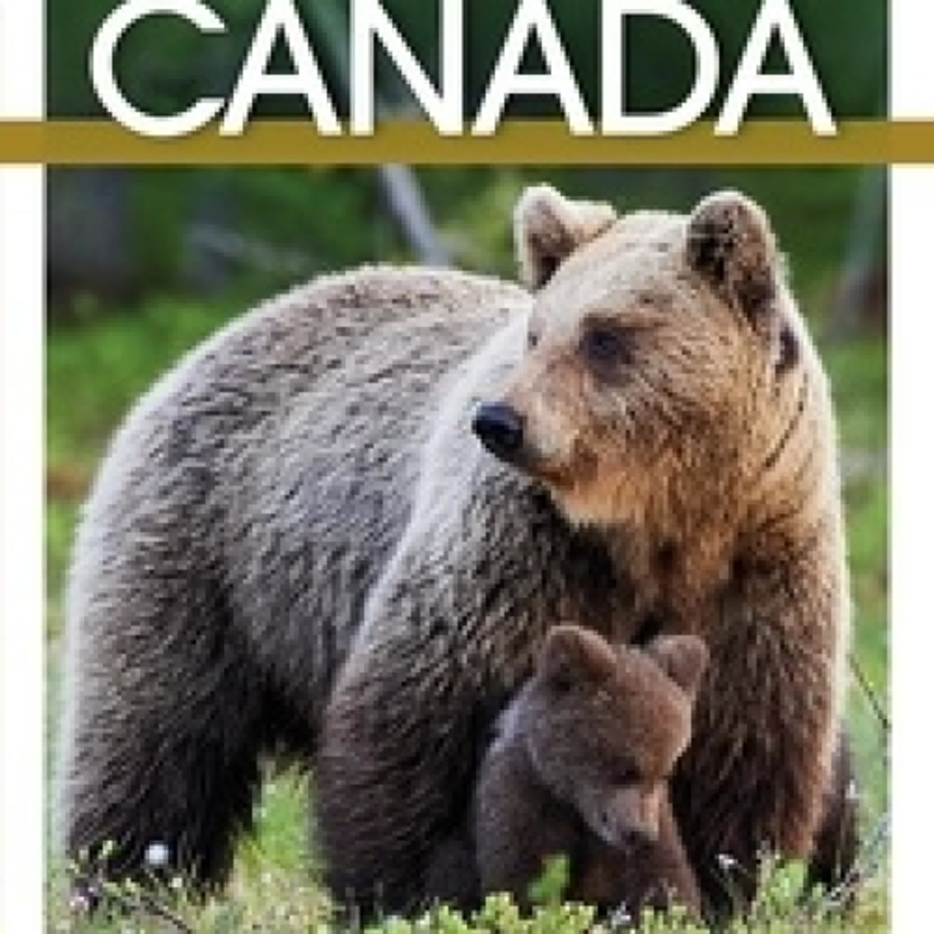 Télécharger Pdf Canada