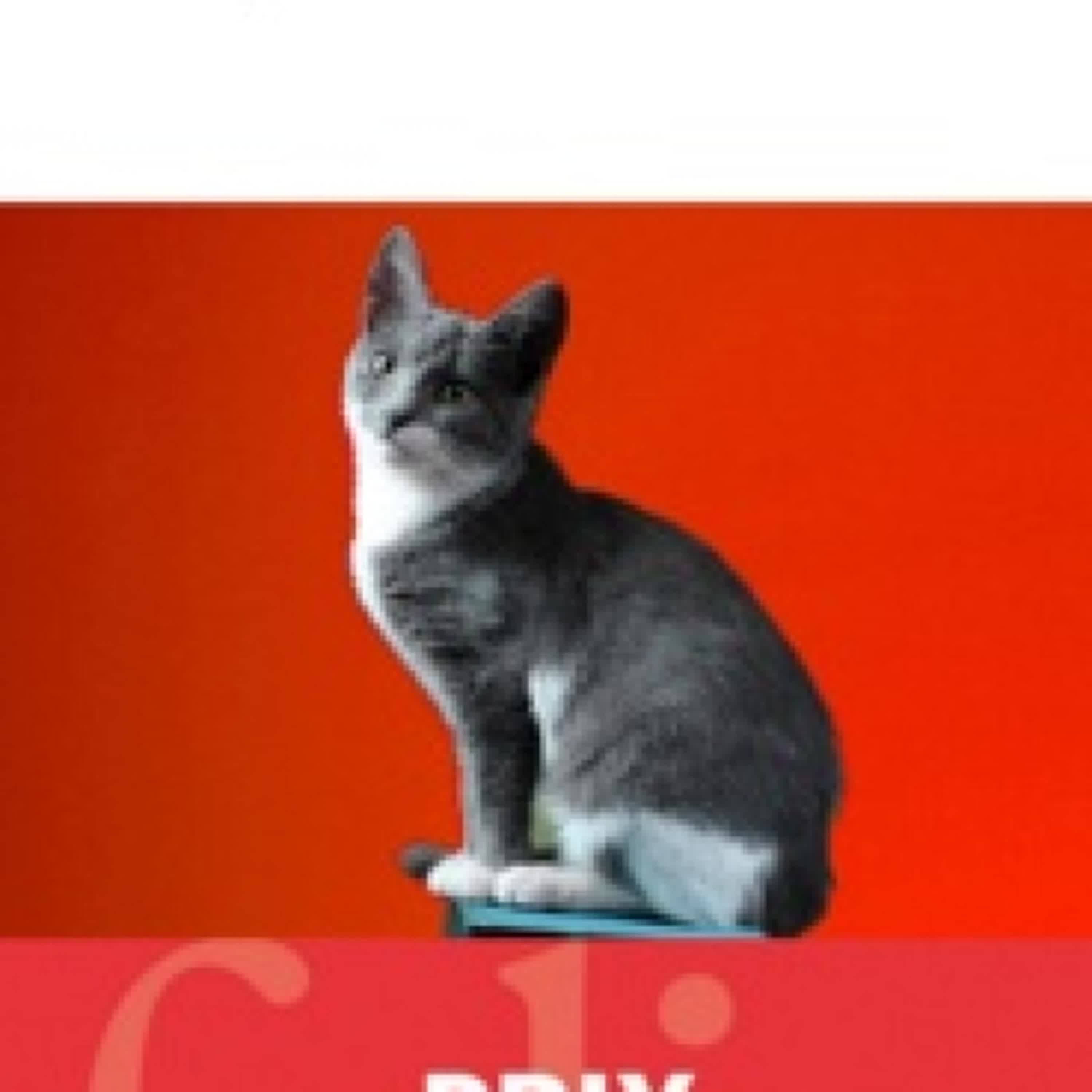 Télécharger Pdf L'élégance du hérisson