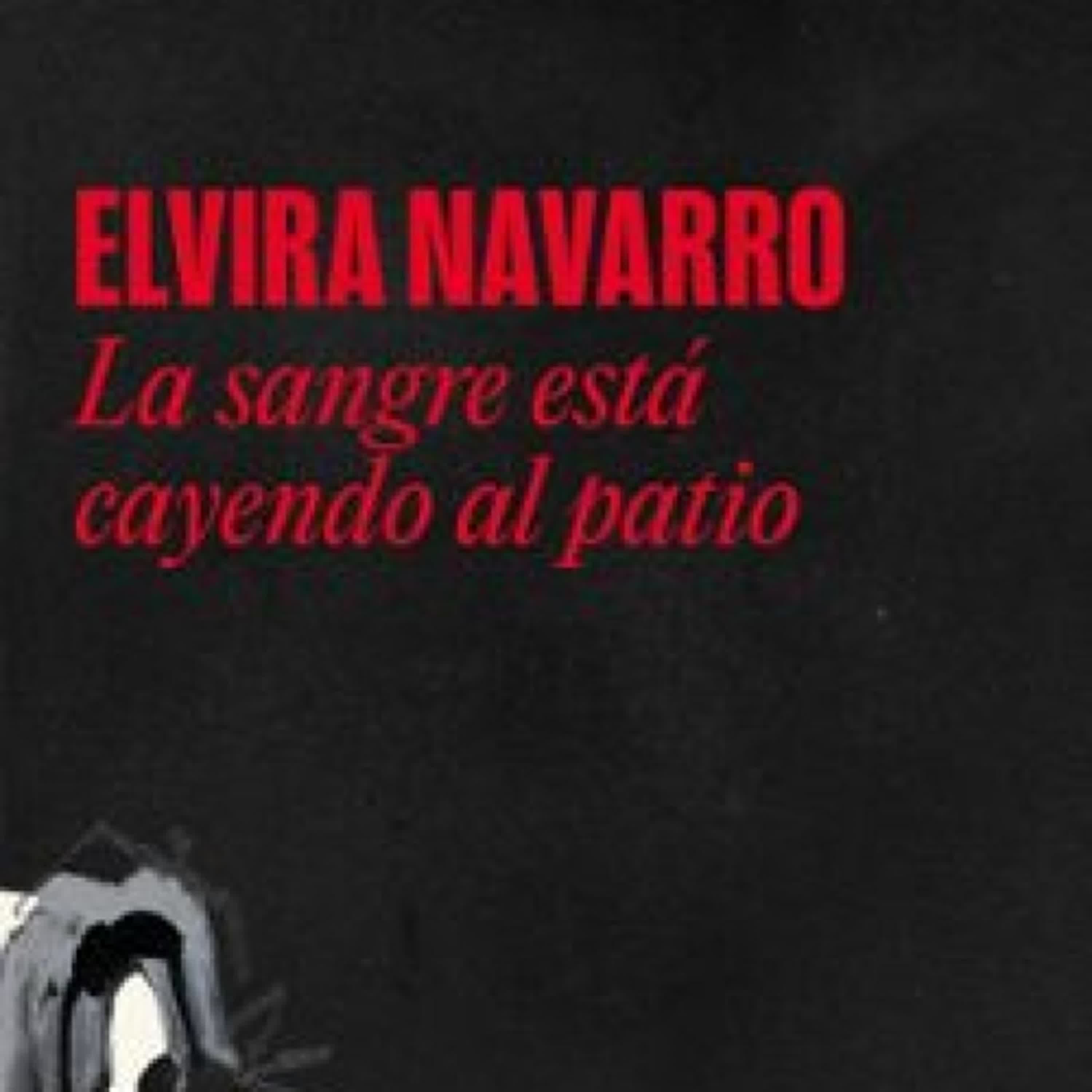 LA SANGRE ESTÁ CAYENDO AL PATIO Elvira Navarro