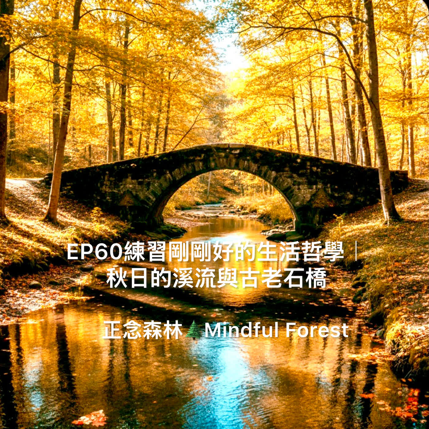 EP60練習剛剛好的生活哲學｜秋日的溪流與古老石橋 episode artwork