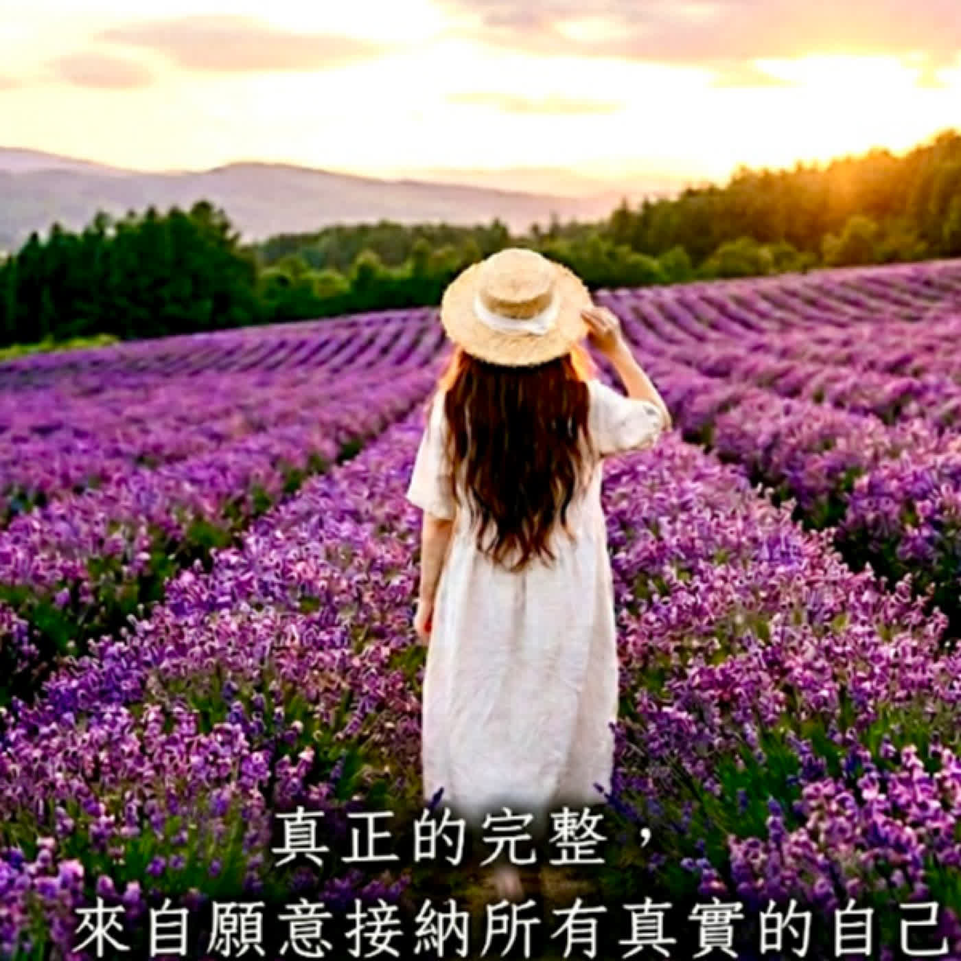 EP74｜讓不完美像一陣微風，吹過薰衣草花田 episode artwork