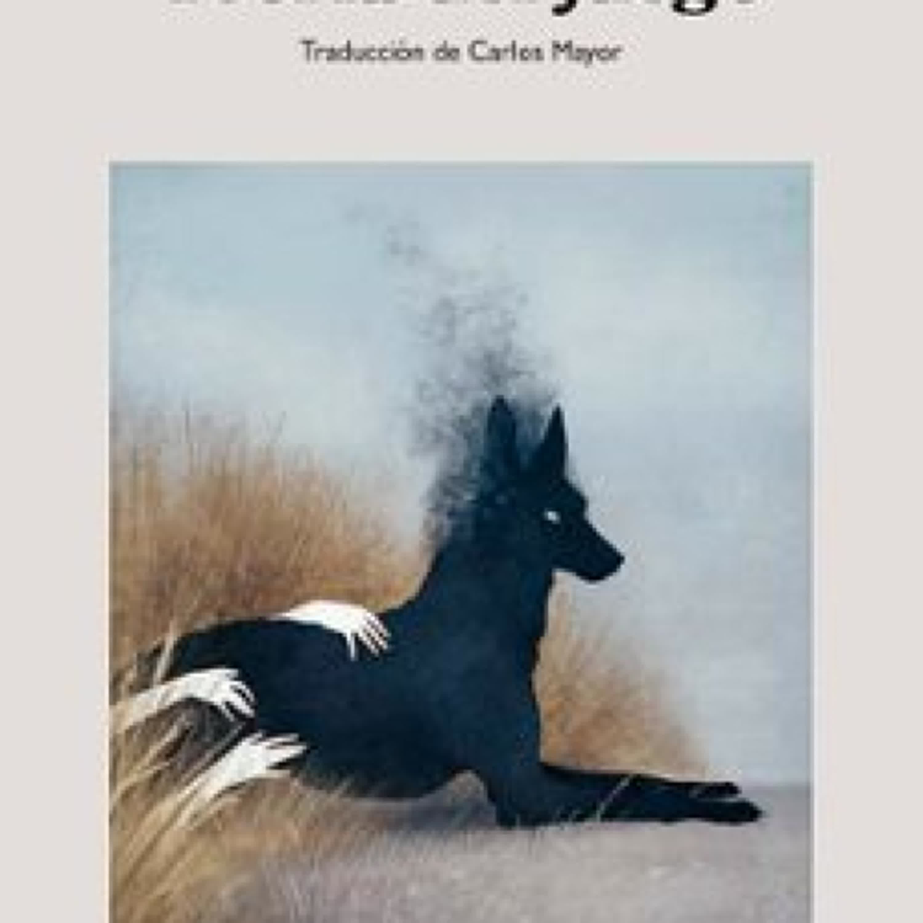 TEORÍA DEL JUEGO Arià Paco