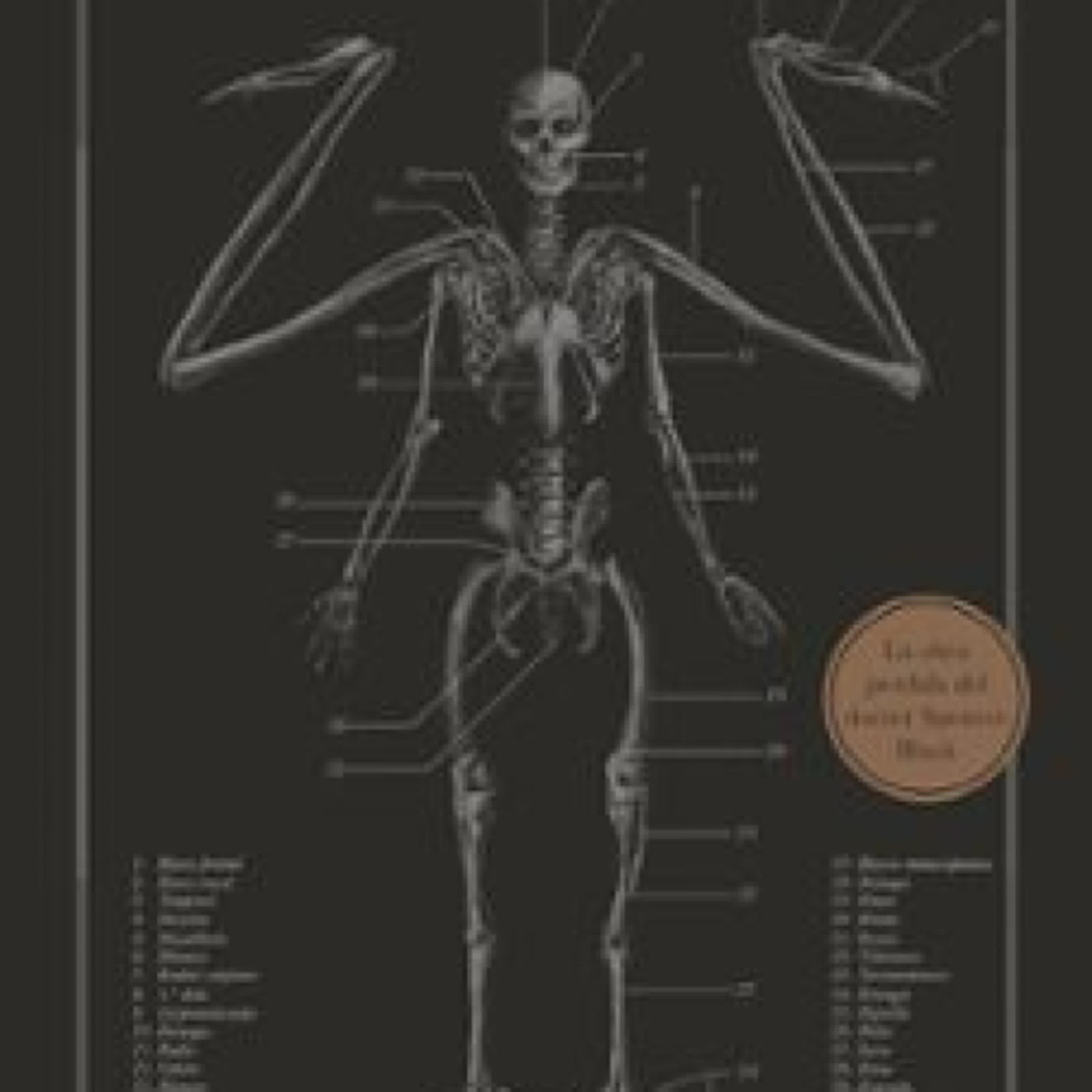 EL RESURRECCIONISTA E. B. Hudspeth