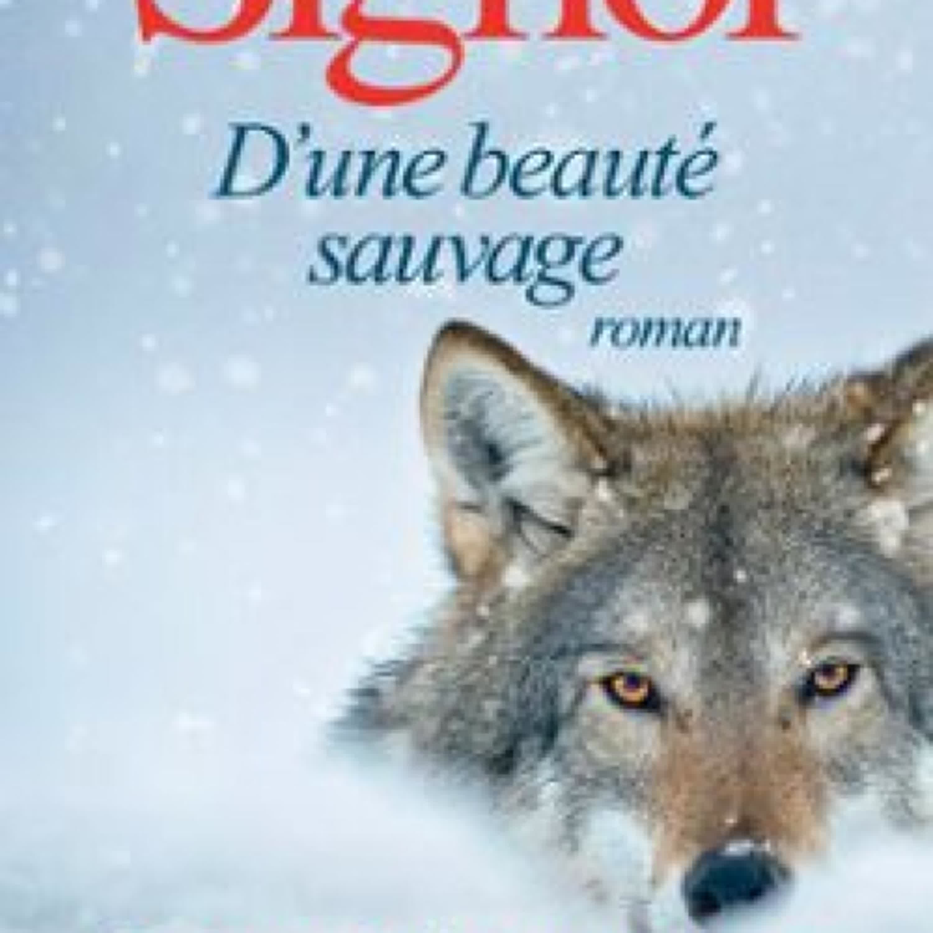 D'UNE BEAUTÉ SAUVAGE