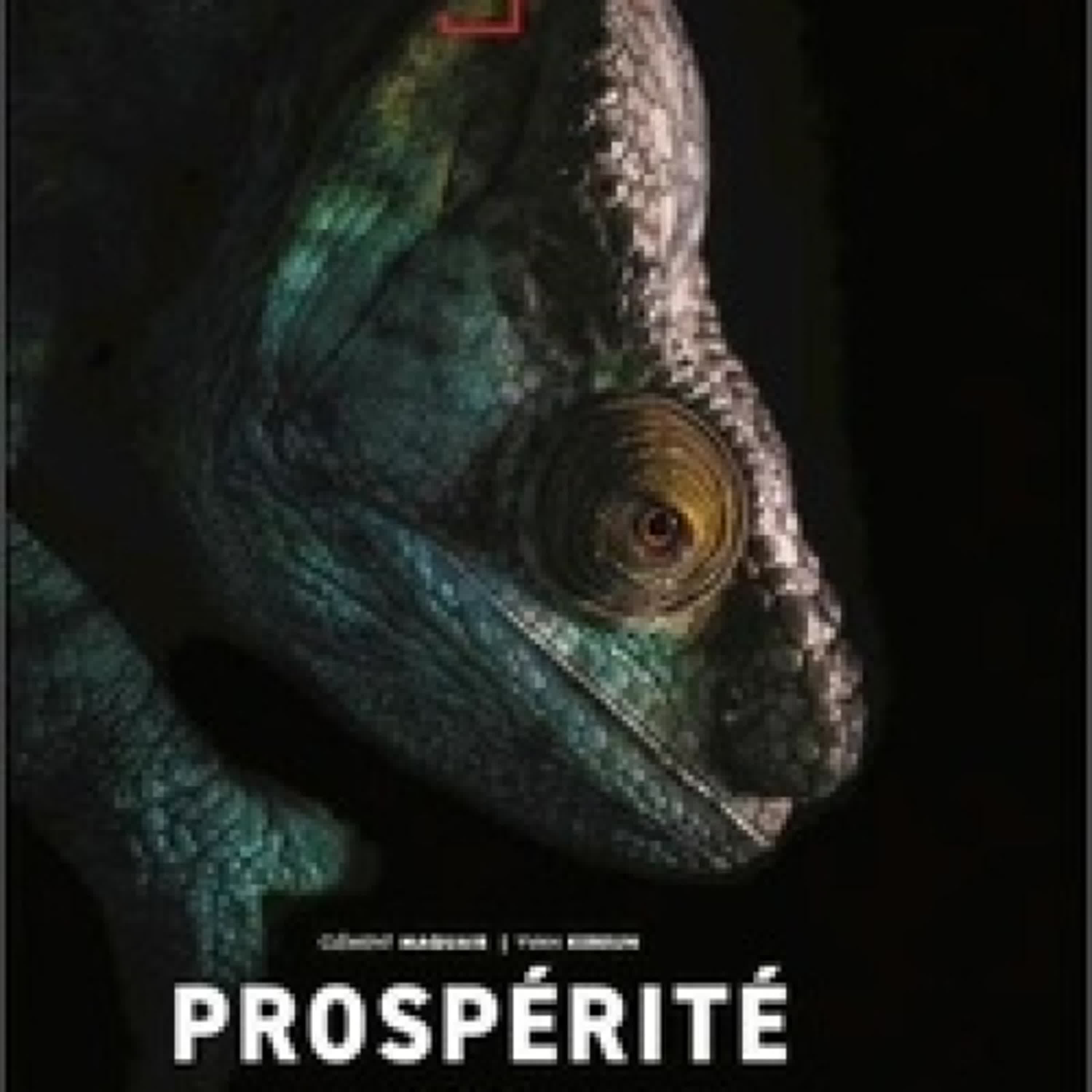 Lire en ligne : Prospérité - Tome 1
