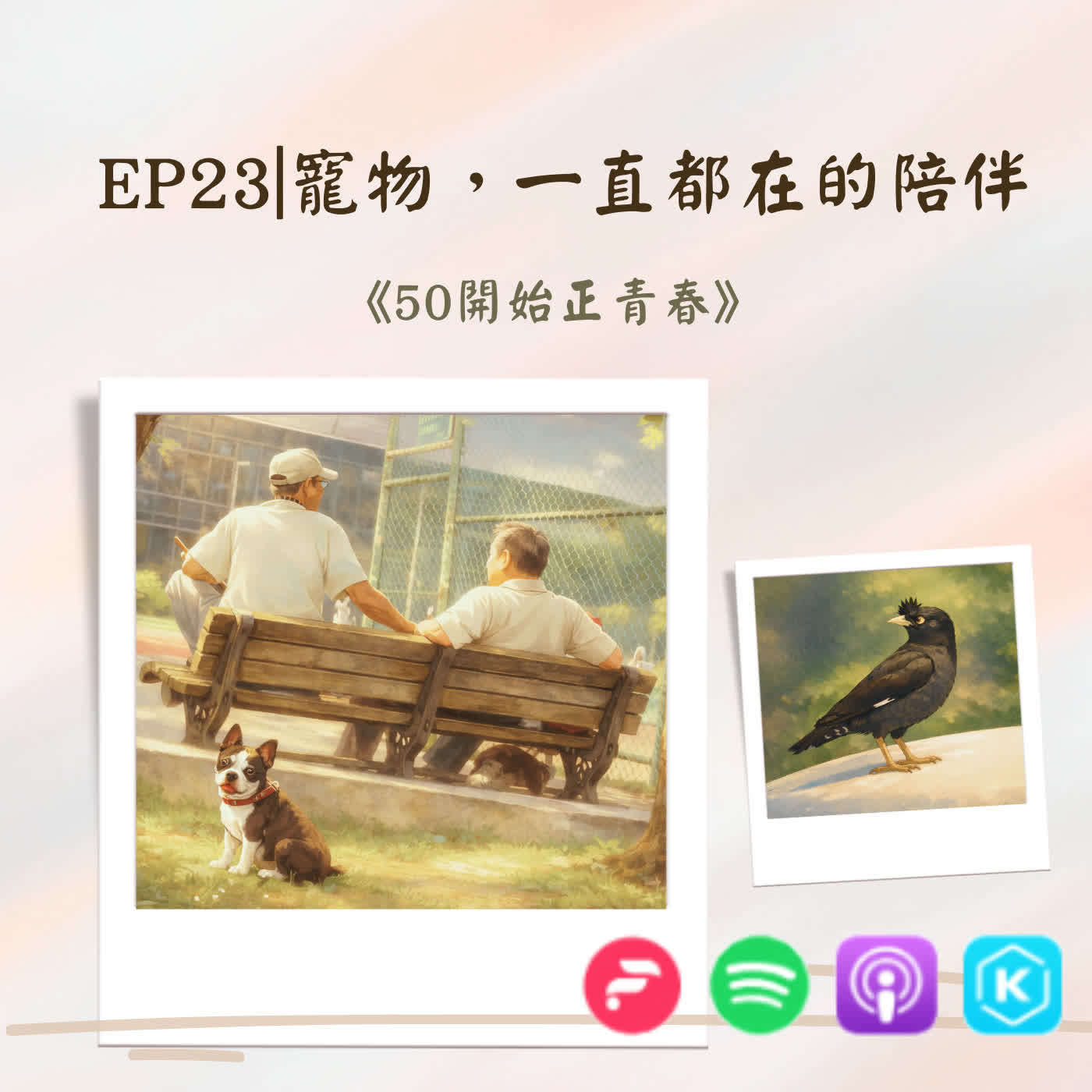 EP23|寵物，一直都在的陪伴 episode artwork