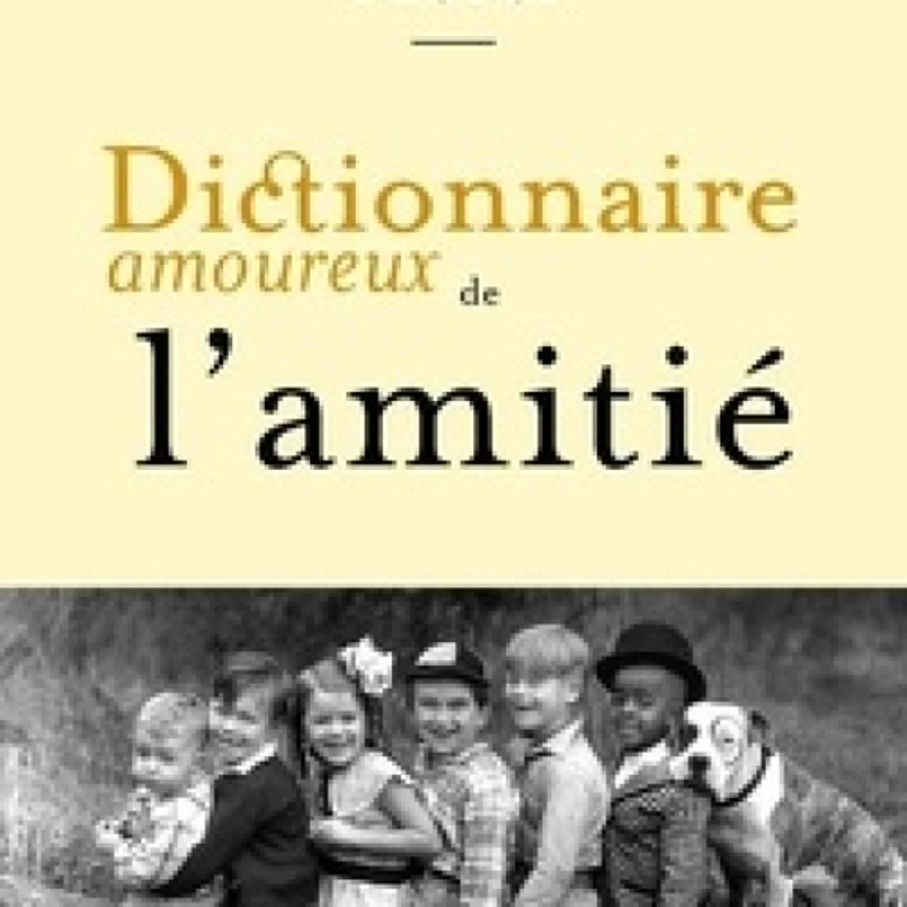 Télécharger Pdf Dictionnaire amoureux de l'amitié
