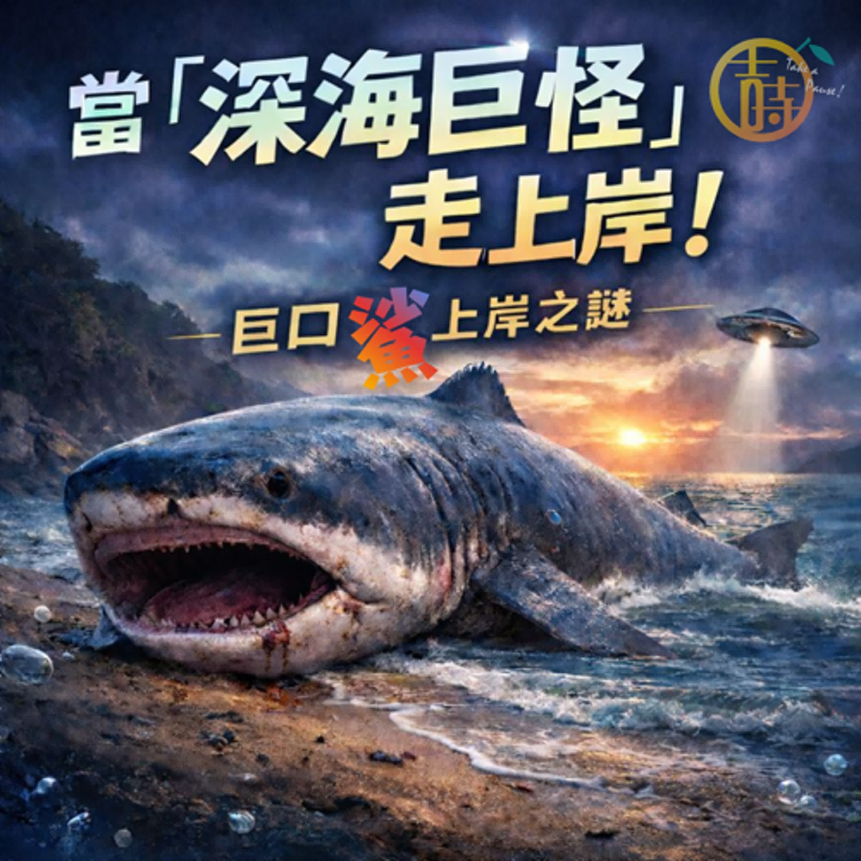 EP15|生物|未知|當「深海巨怪」走上岸~巨口鯊之謎
