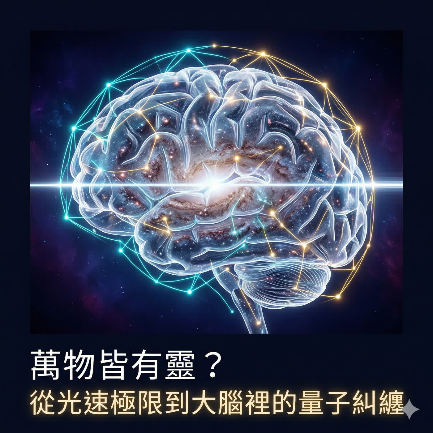 萬物皆有靈？從光速極限到大腦裡的量子糾纏 episode artwork