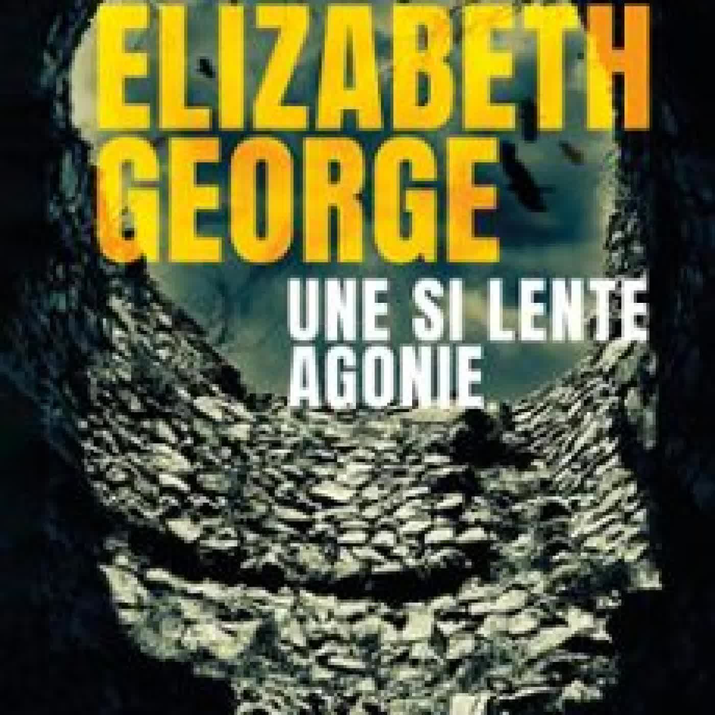 UNE SI LENTE AGONIE Elizabeth George