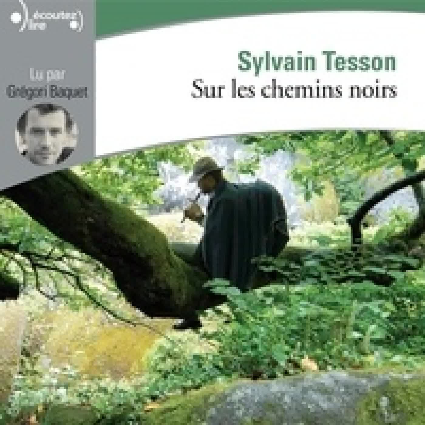 {téléchargement} Sur les chemins noirs