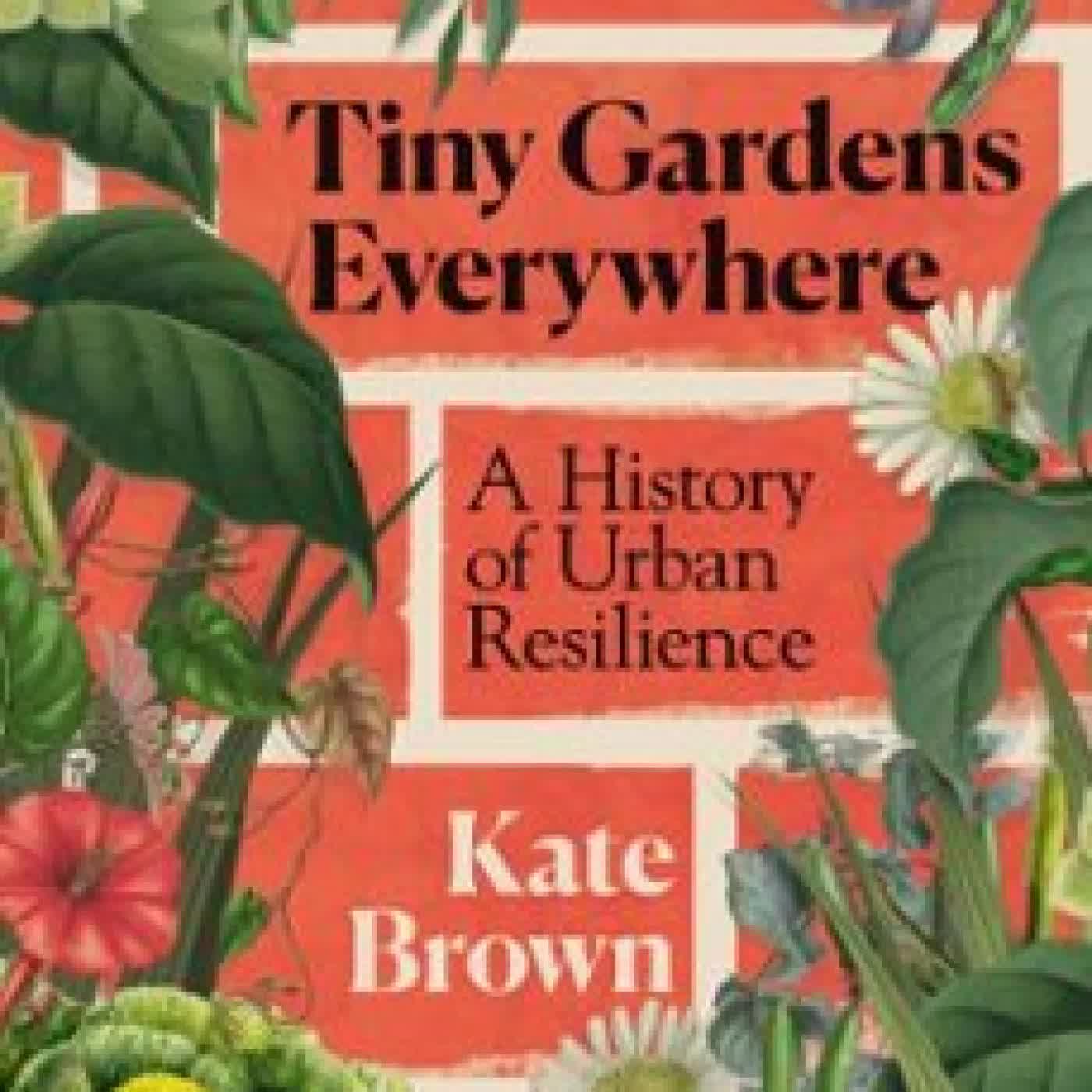 TINY GARDENS EVERYWHERE Kate Brown