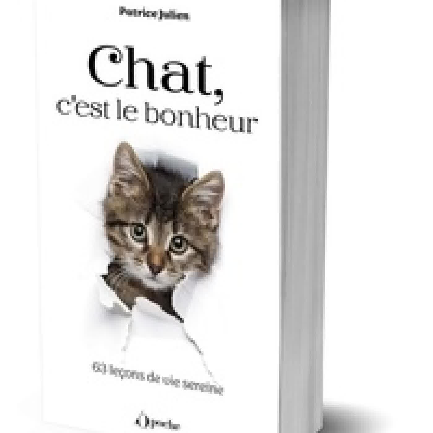 Télécharger Pdf Chat, c'est le bonheur - 63 leçons de vie sereine